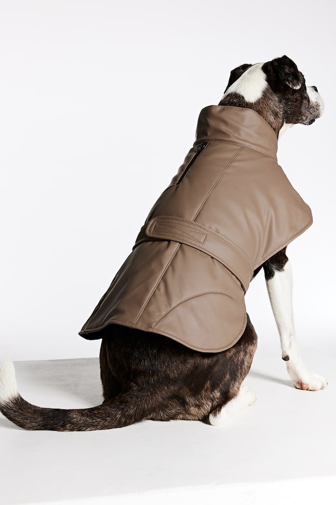 Coated dog jacket - Brown - 3