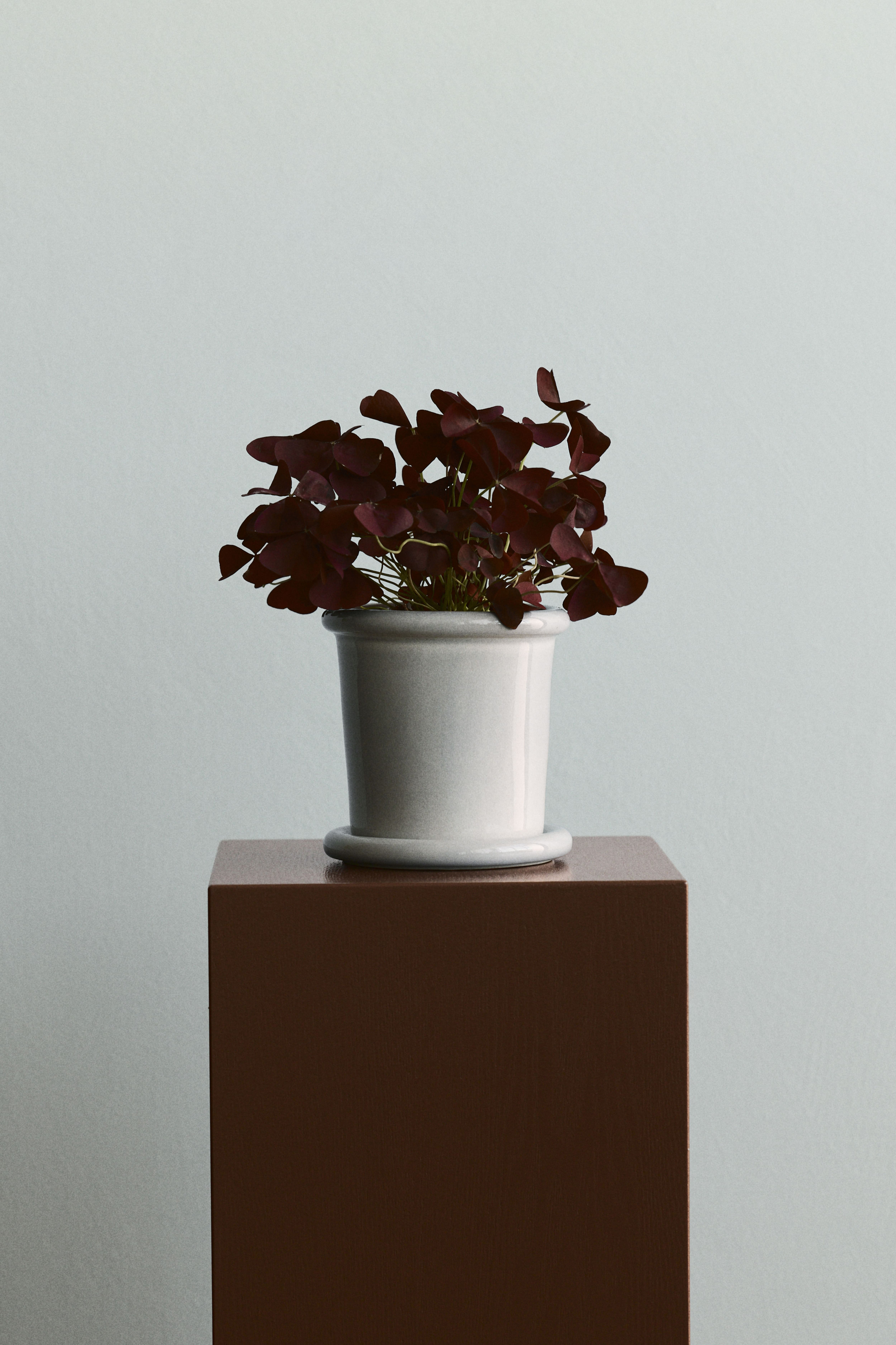 Extra-Small Stoneware Plant Pot with Saucer