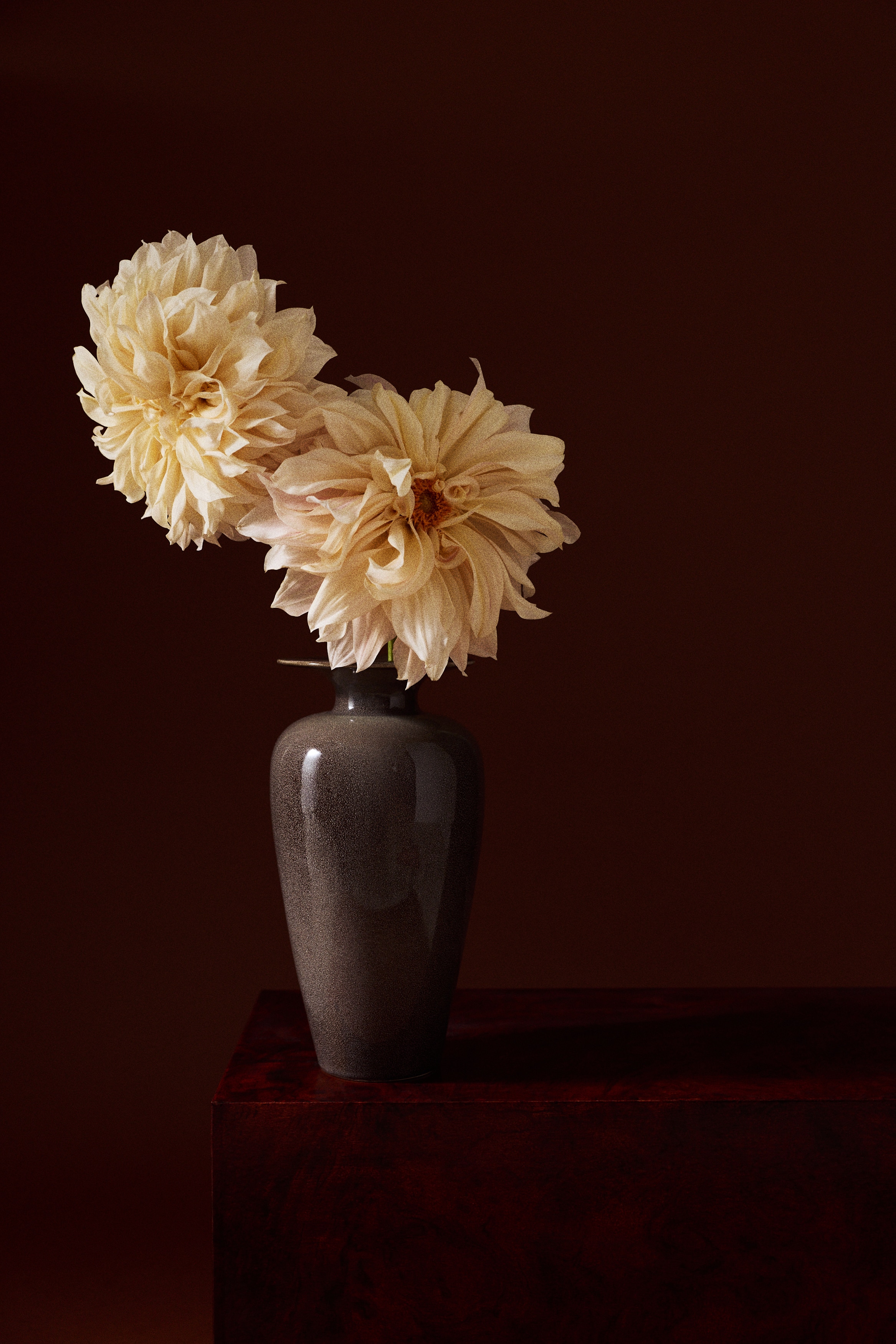 Eine dunkelbraune Keramikvase präsentiert eine gesprenkelte, glänzende Oberfläche. Ihr Körper verjüngt sich von einer breiteren Mitte nach unten, und ein schmaler Hals weitet sich zu einem breiten, konkaven Rand aus.