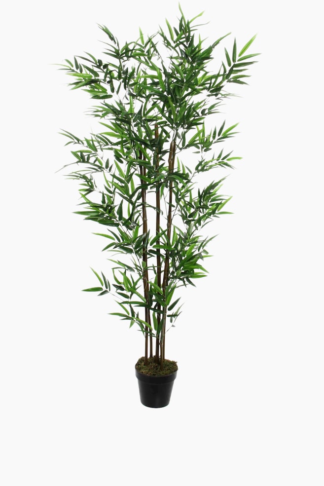 Planta artificial de bambu - Verde - 1