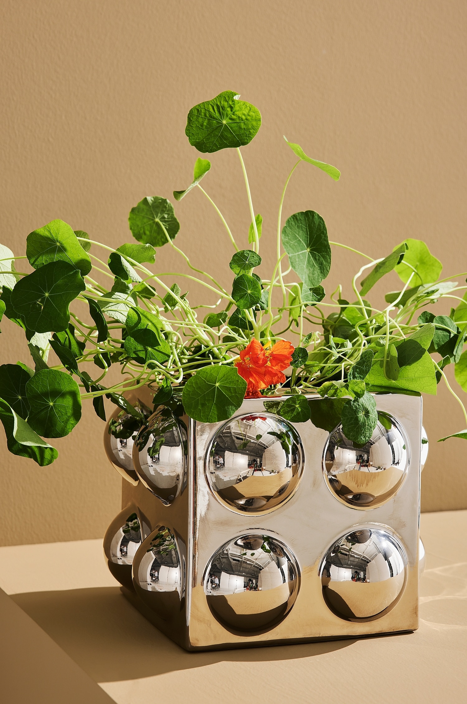 Boo Vase - Krom/Rød