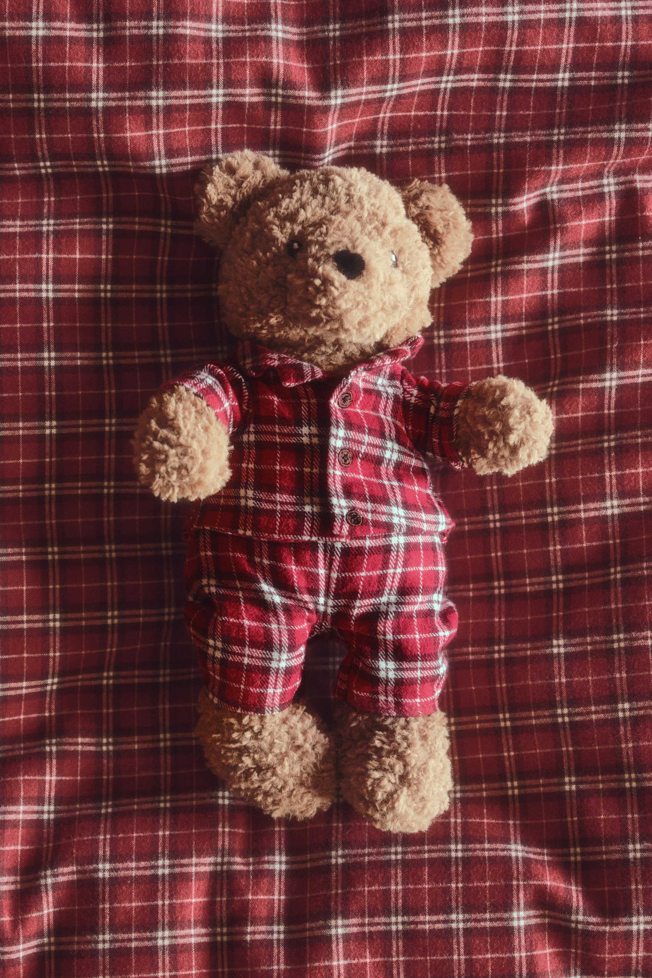 Ampliar la imagen: Un pequeño oso de peluche suave está de frente, vistiendo un conjunto de pijama de algodón a cuadros rojos y blancos de dos piezas, con top abotonado con cuello y pantalón a juego. El oso de peluche café claro presenta ojos y nariz negros bordados.