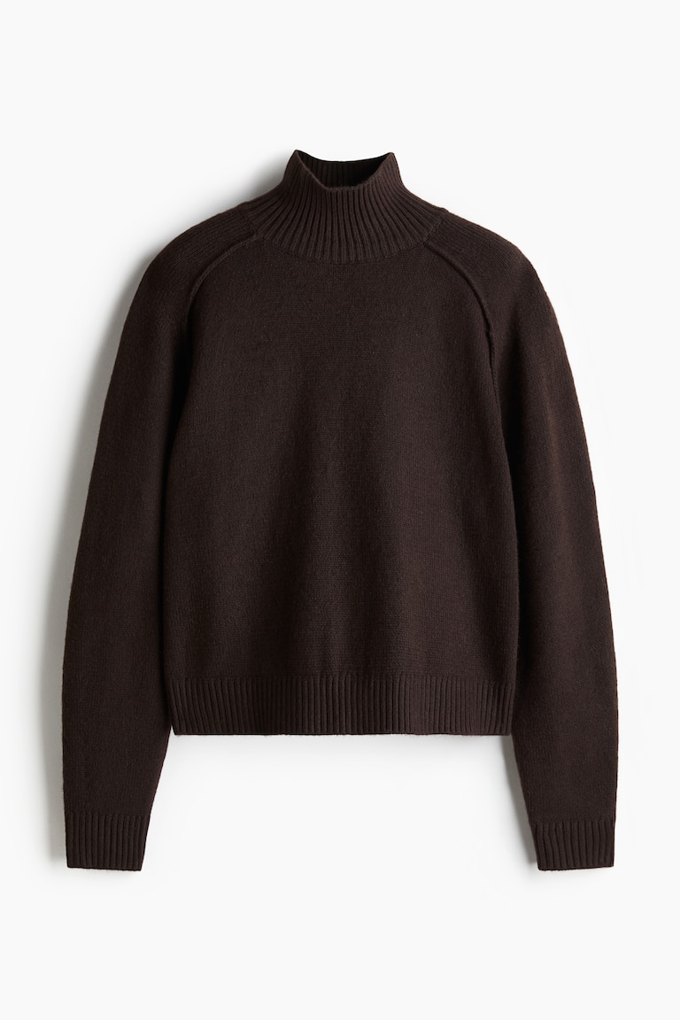 Turtleneck jumper Dark brown Ladies H&M GB