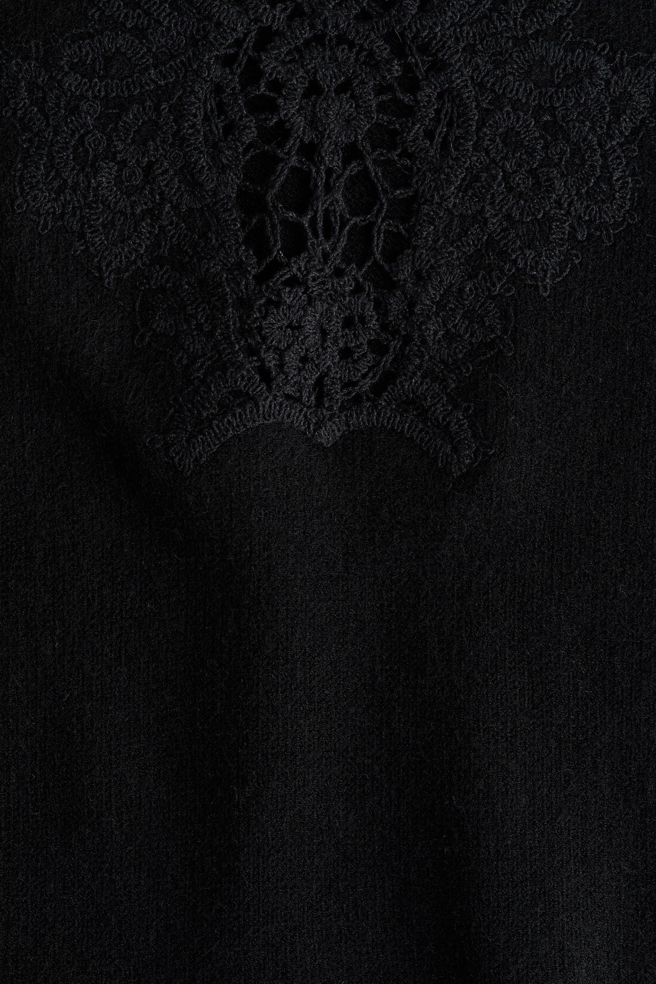 Xem ảnh lớn hơn: Váy viền ren - Màu đen - Ladies | H&M VN 2