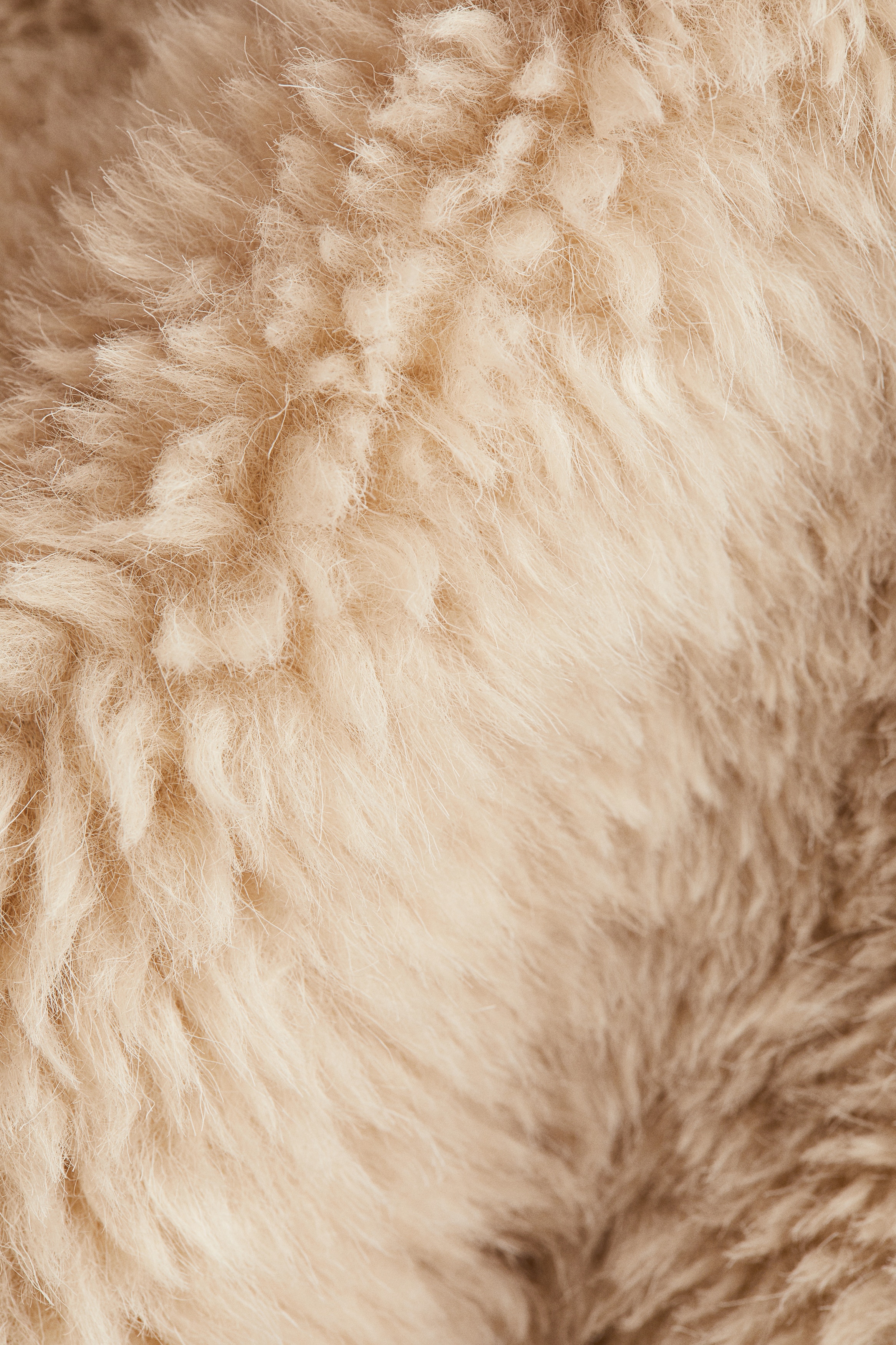 Teddy coat