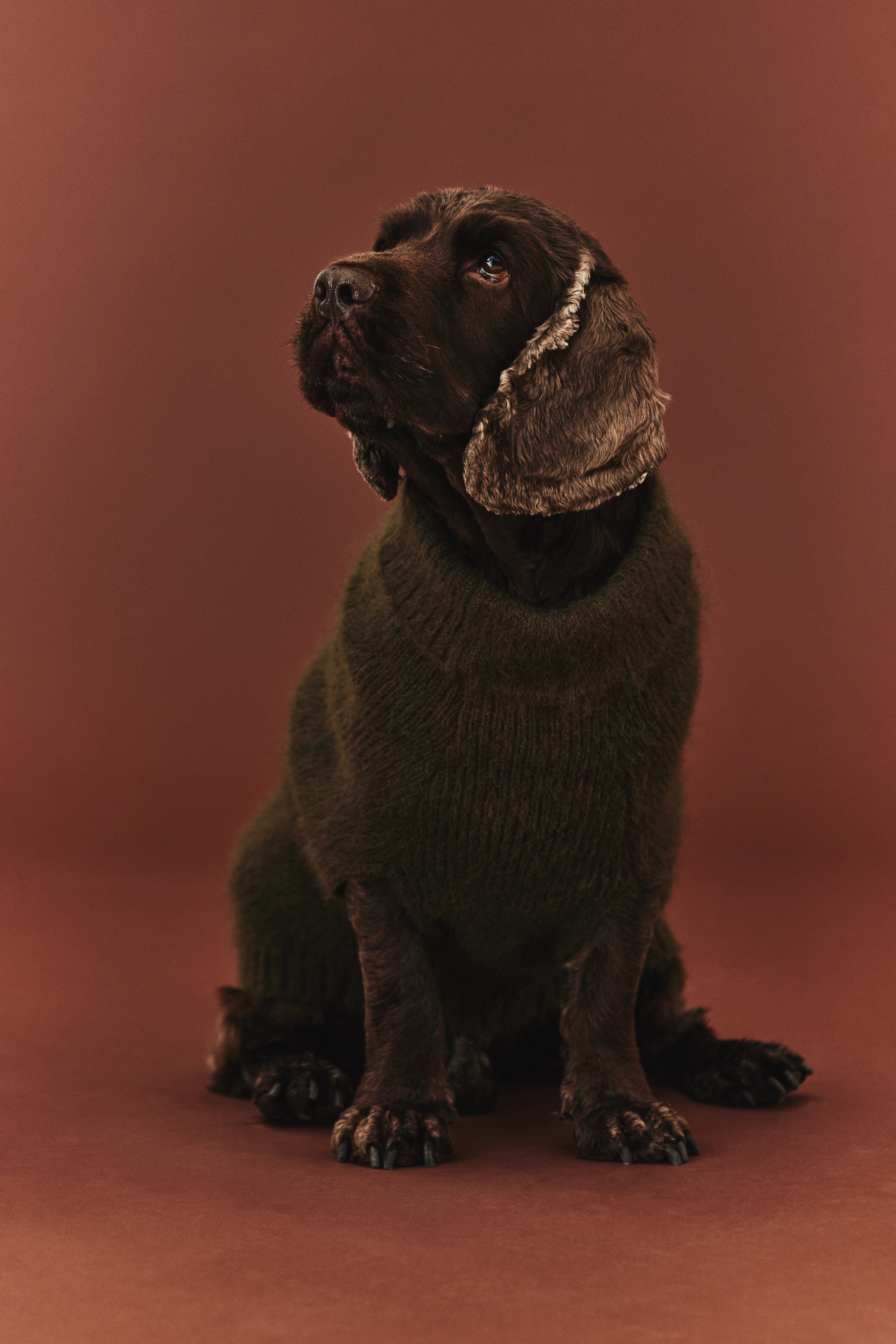 H & M - フラッフィニットドッグセーター - グリーン