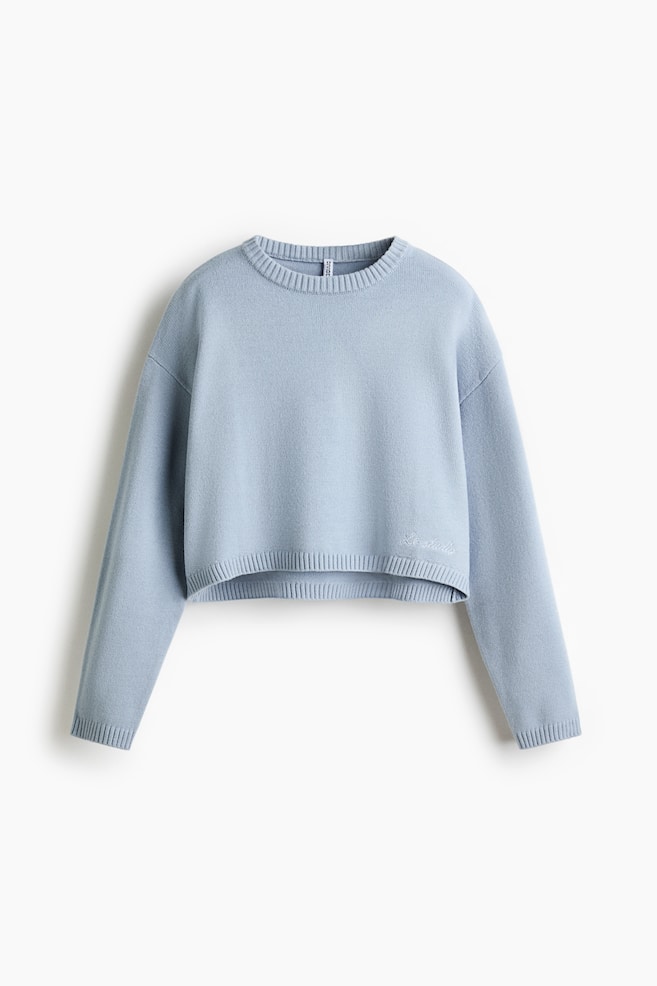 Pullover in misto cotone Loose Fit - Blu polvere chiaro/Rosso prugna - 1