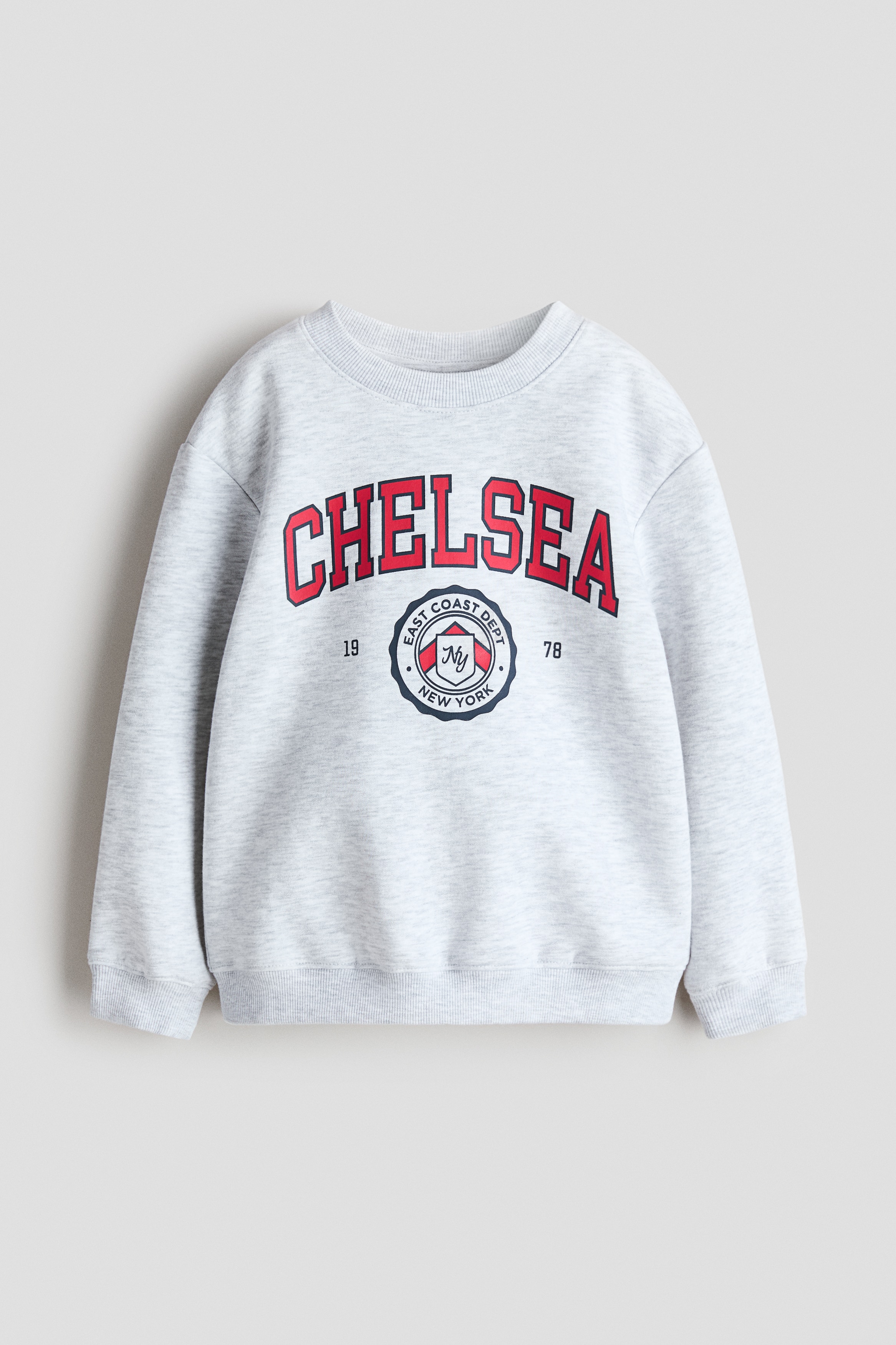 Printed Brushed-Inside Sweatshirt - Light gray melange/Chelsea