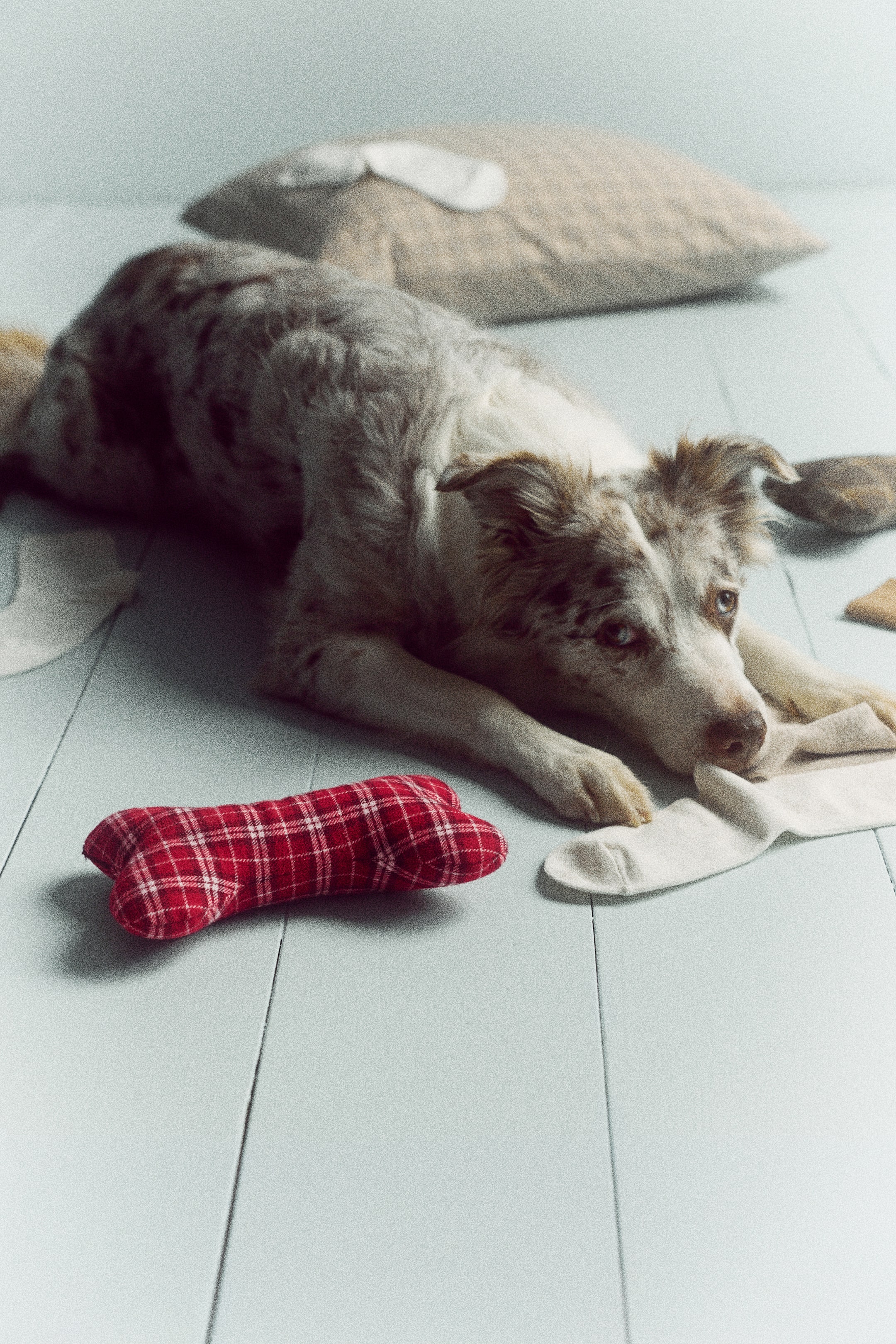 View larger image: A bone-shaped padded pet toy made from a red and white checked woven fabric is lying on a light-coloured wooden floor, showcasing its rounded, stuffed design and stitched borders.