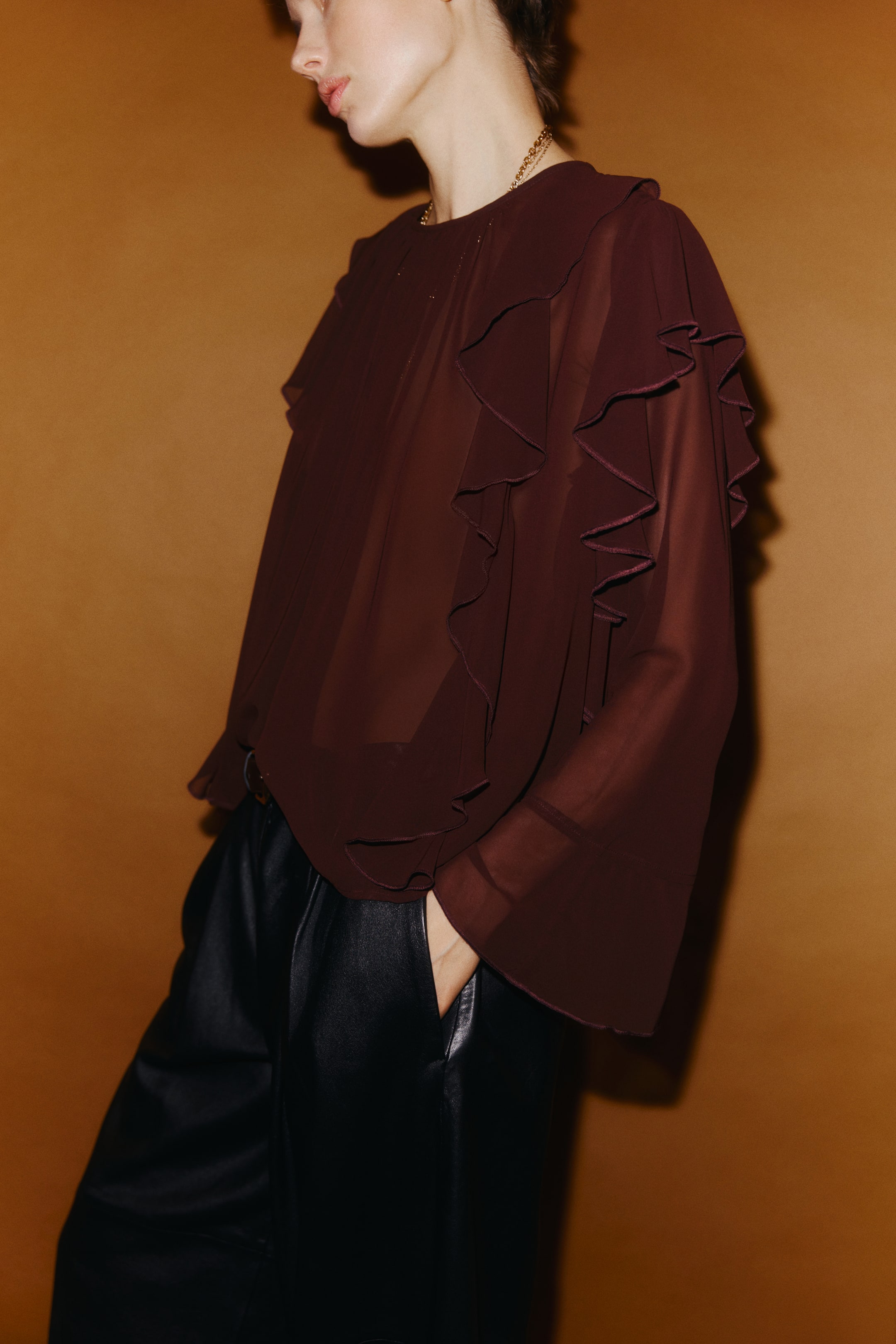View larger image: A dark reddish-brown sheer blouse features layered ruffles cascading from the shoulders down the length of its loose, bell-shaped sleeves. The blouse displays a round neckline and a relaxed fit, shown from a slight angle.