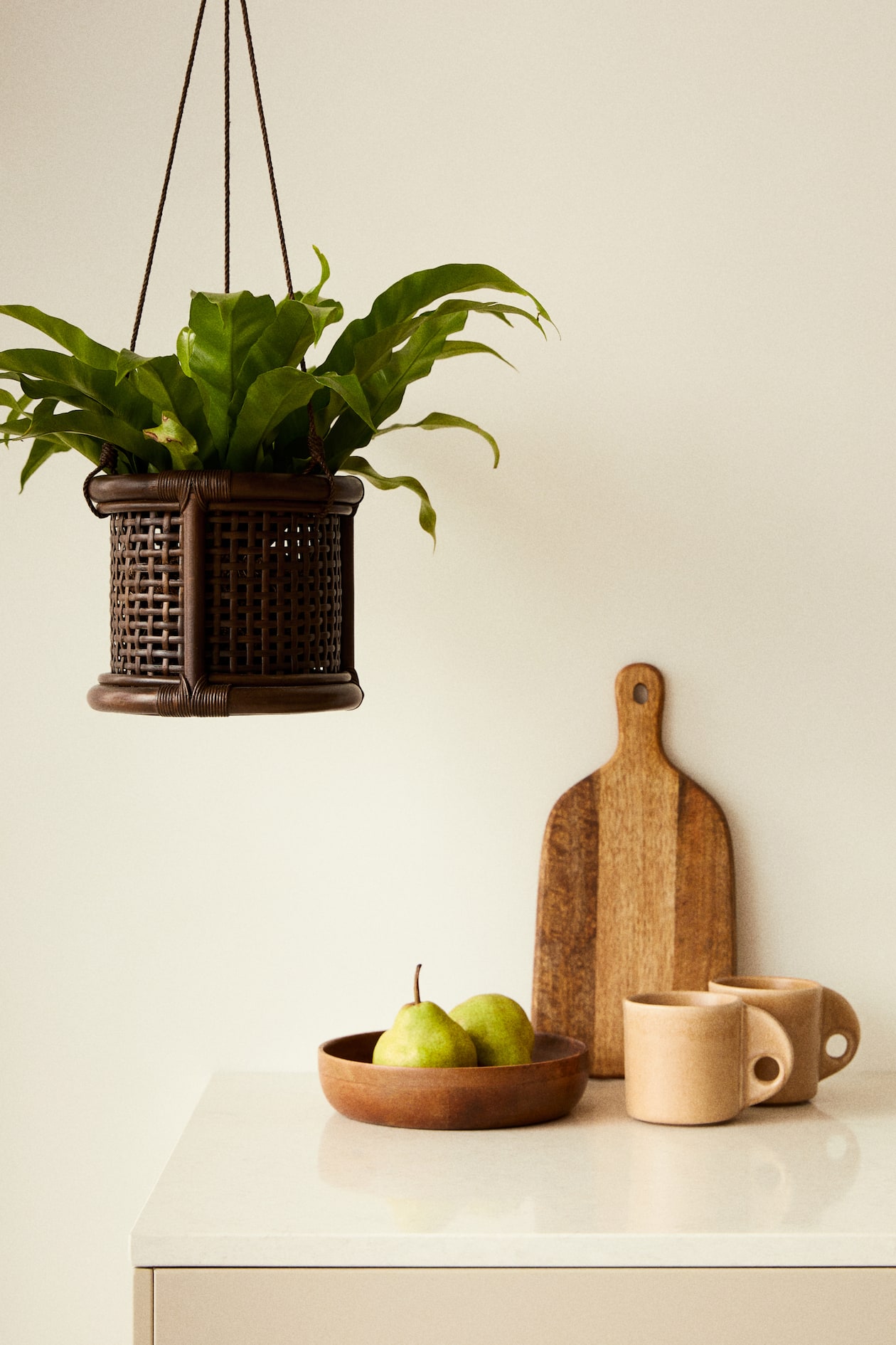 Vaso Sospeso KOTARBAU In Rattan Sintetico Con Autoirrigazione – Diametro 25,6 Cm, Marrone, Per Interni Ed Esterni