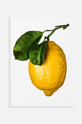 The Gourmand's Lemon: Stories And Recipes