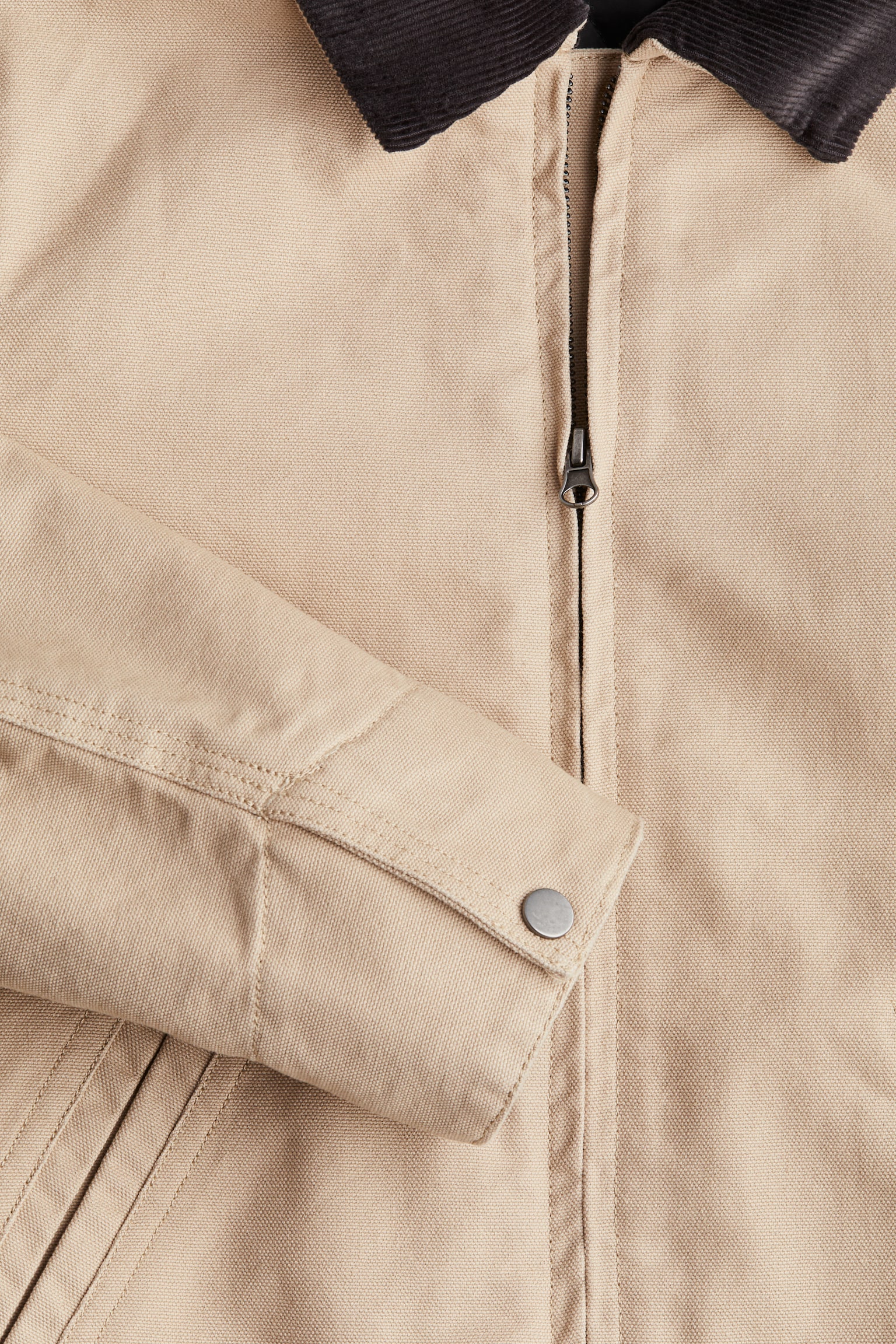 Cotton canvas jacket - Beige - 4