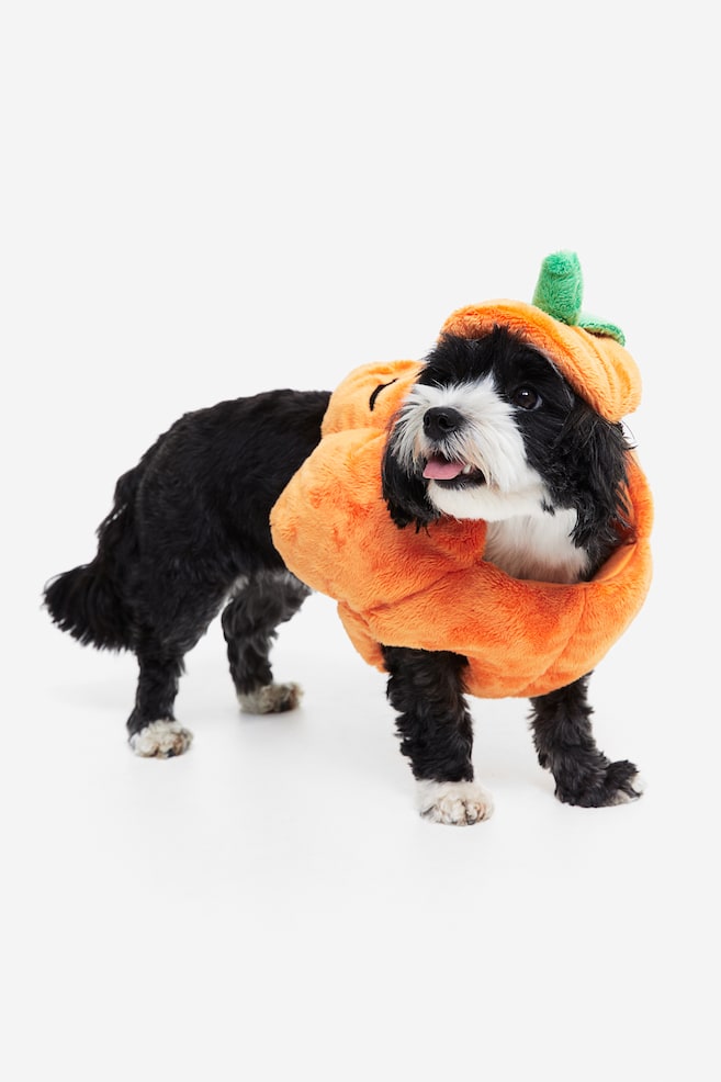 Fancy dress costume for a dog - Orange - 1