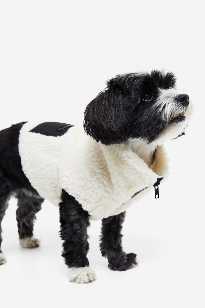 Teddy dog jacket - White/White/Checked - 7