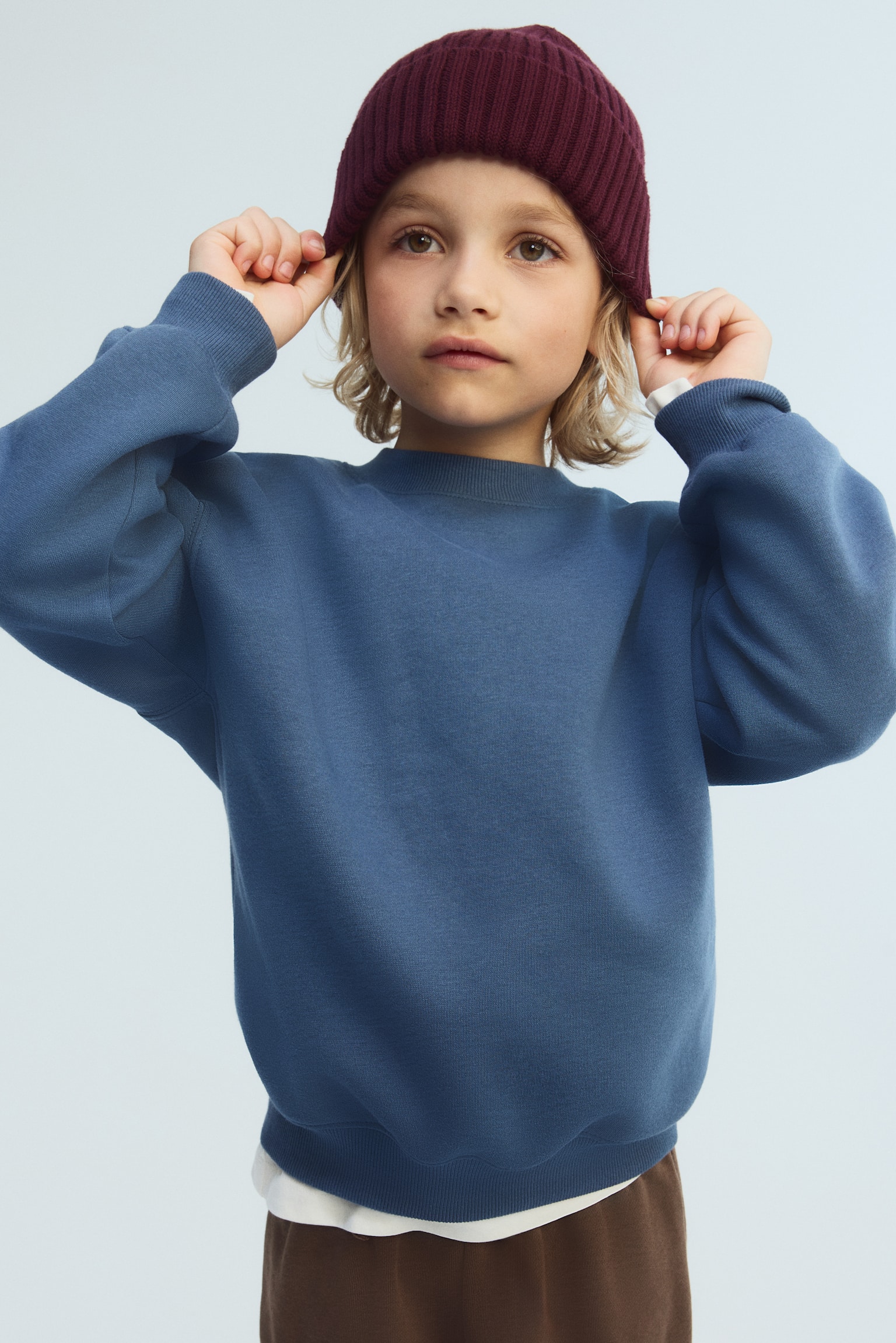 Brushed-inside sweatshirt - Dusty blue/Brown/Beige - 1