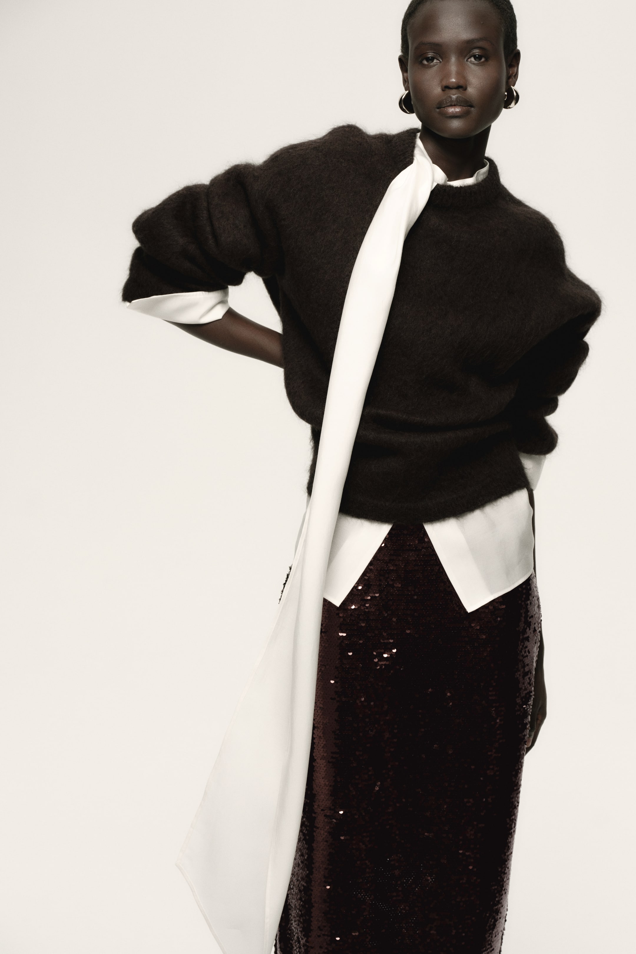 View larger image: Sequined midi skirt - Dark brown - Ladies | H&M GB 2