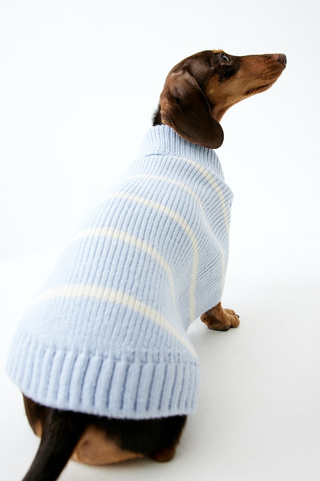 Rib-knit dog jumper - Light blue/Striped/Black/Striped - 4