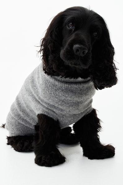 Fine-knitdogjumper