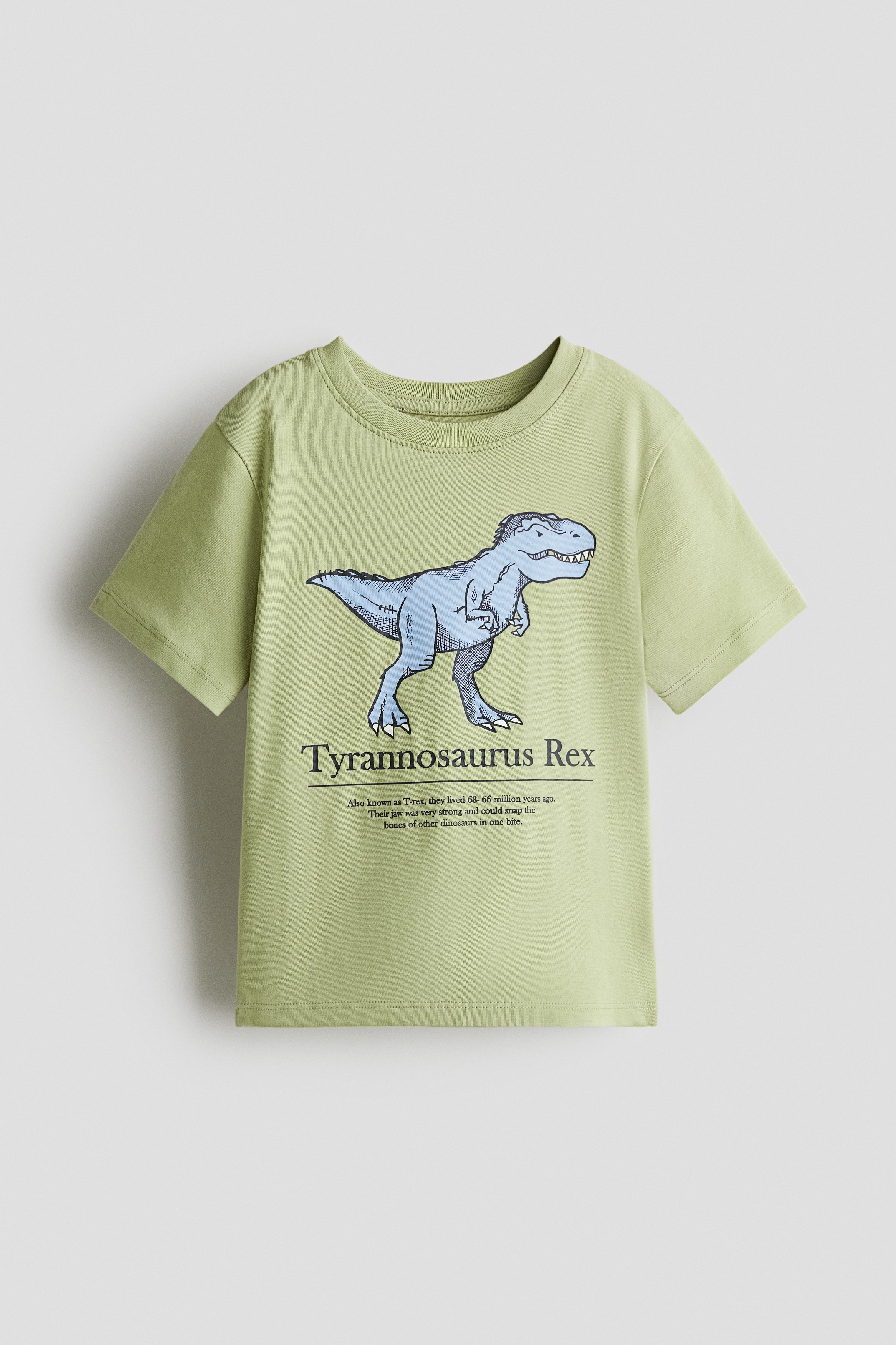 Printed T-Shirt - Green/Tyrannosaurus rex - Kids | H&M US
