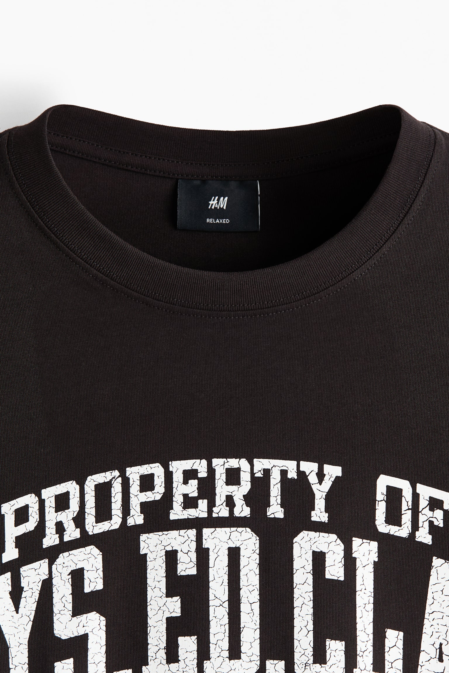 Loose Fit Printed T-shirt - Black/Phys. Ed. Class/White/Landry's/White/Red Rock/Black/Campioni Del Mondo/Black/Brooklyn/Black/Trust Yourself/Light blue/Le Club Bleu/Dark turquoise/Allotment/Khaki green/Adapt/White/beach/White/The Soul's Garden/Blue/San Diego - 3