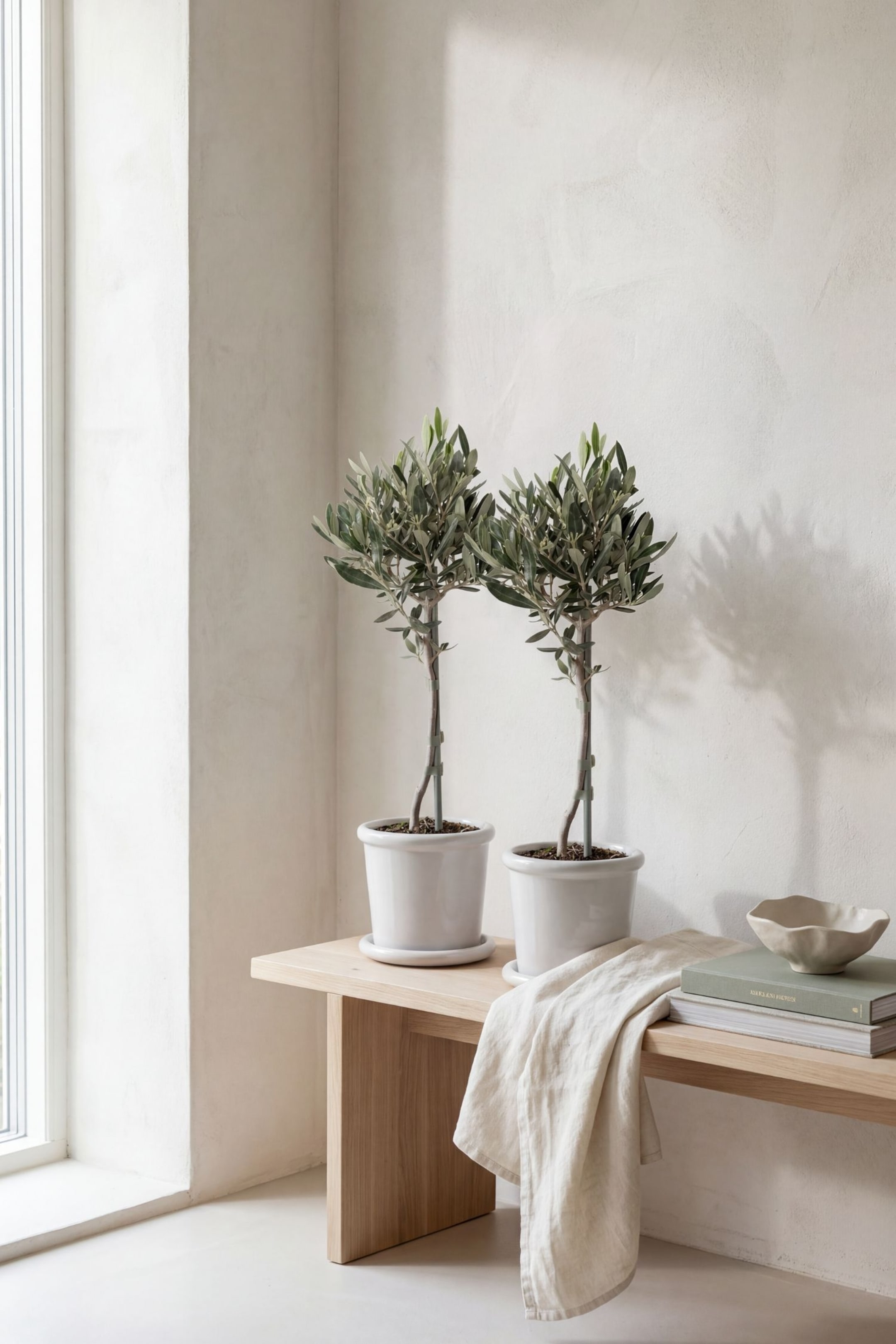 Größeres Bild ansehen: Olivenbaum - 2er Set - H 40cm - Bloomique - Home All | H&M DE 1