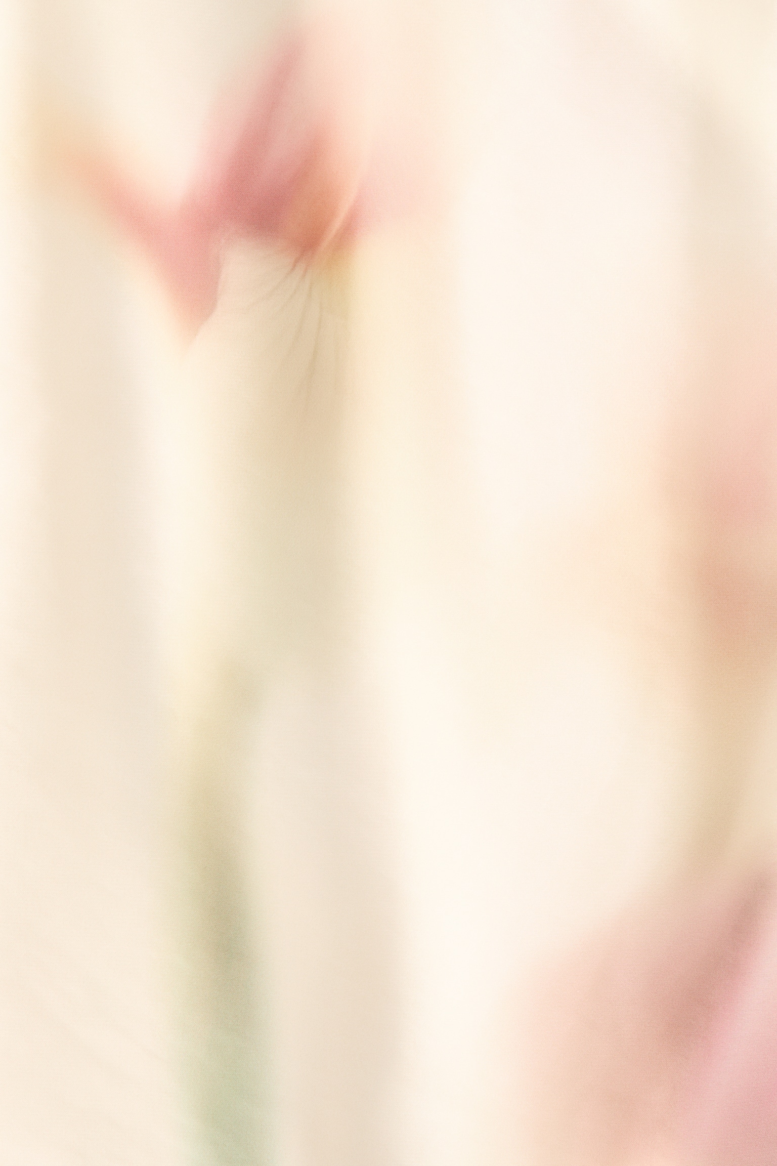 미디 스커트 - 크림 - 4