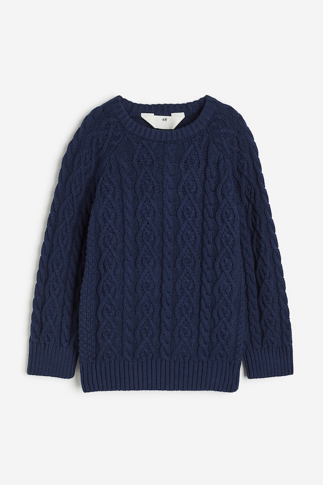 Cable-knit cotton jumper - Navy blue/Light beige - 1