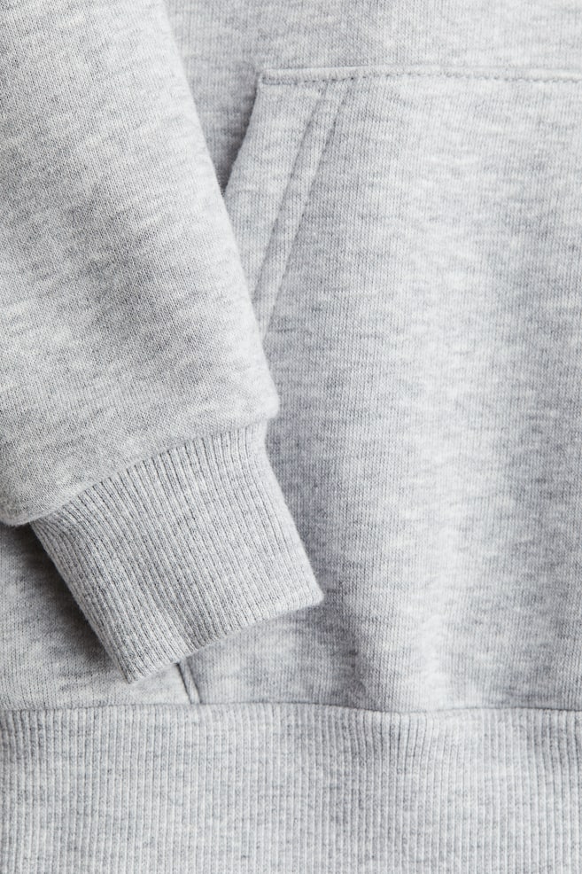 Brushed-Inside Hoodie-Light grey marl - 2