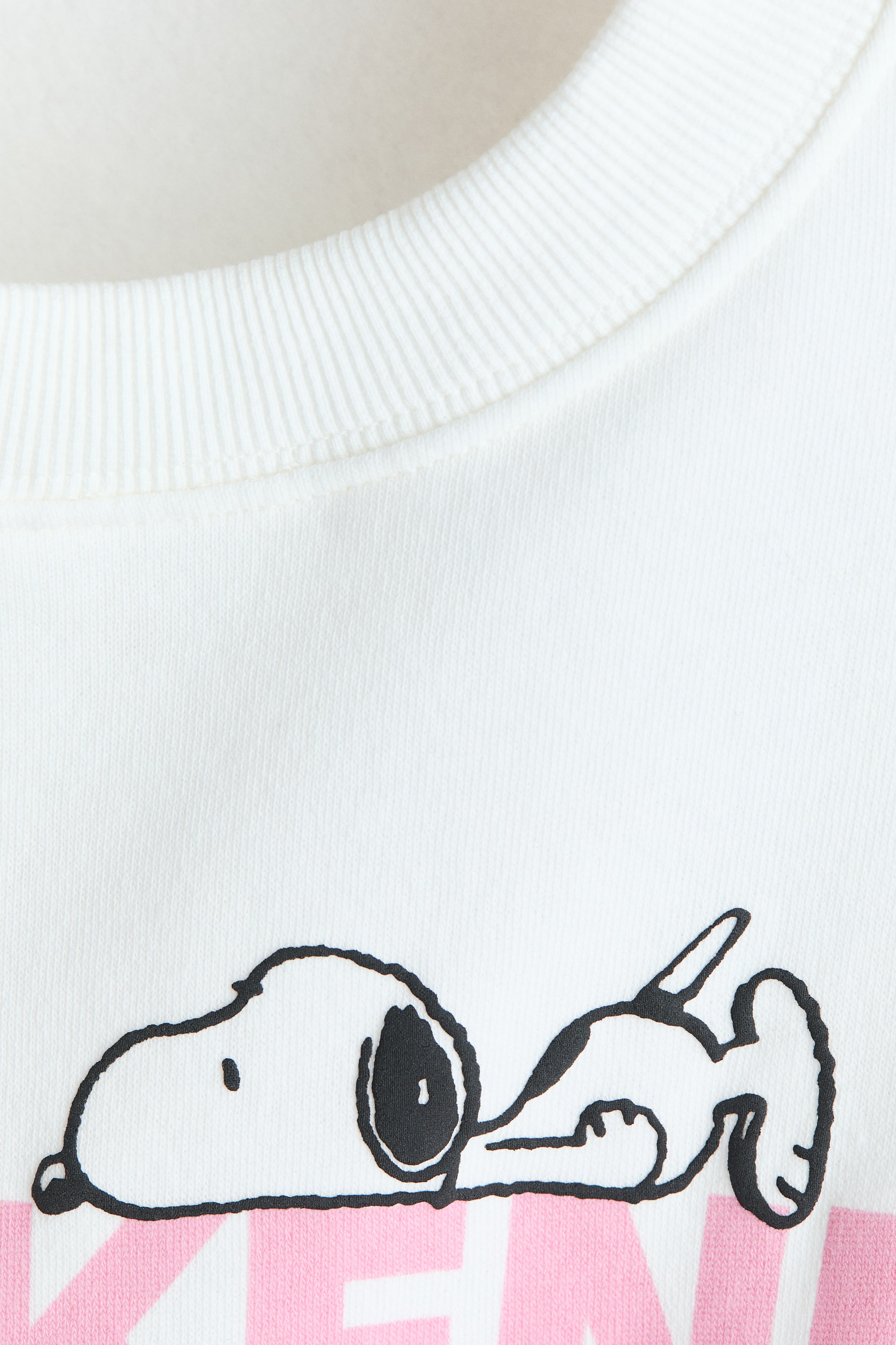 Brushed-Inside Sweatshirt with Printed Motif