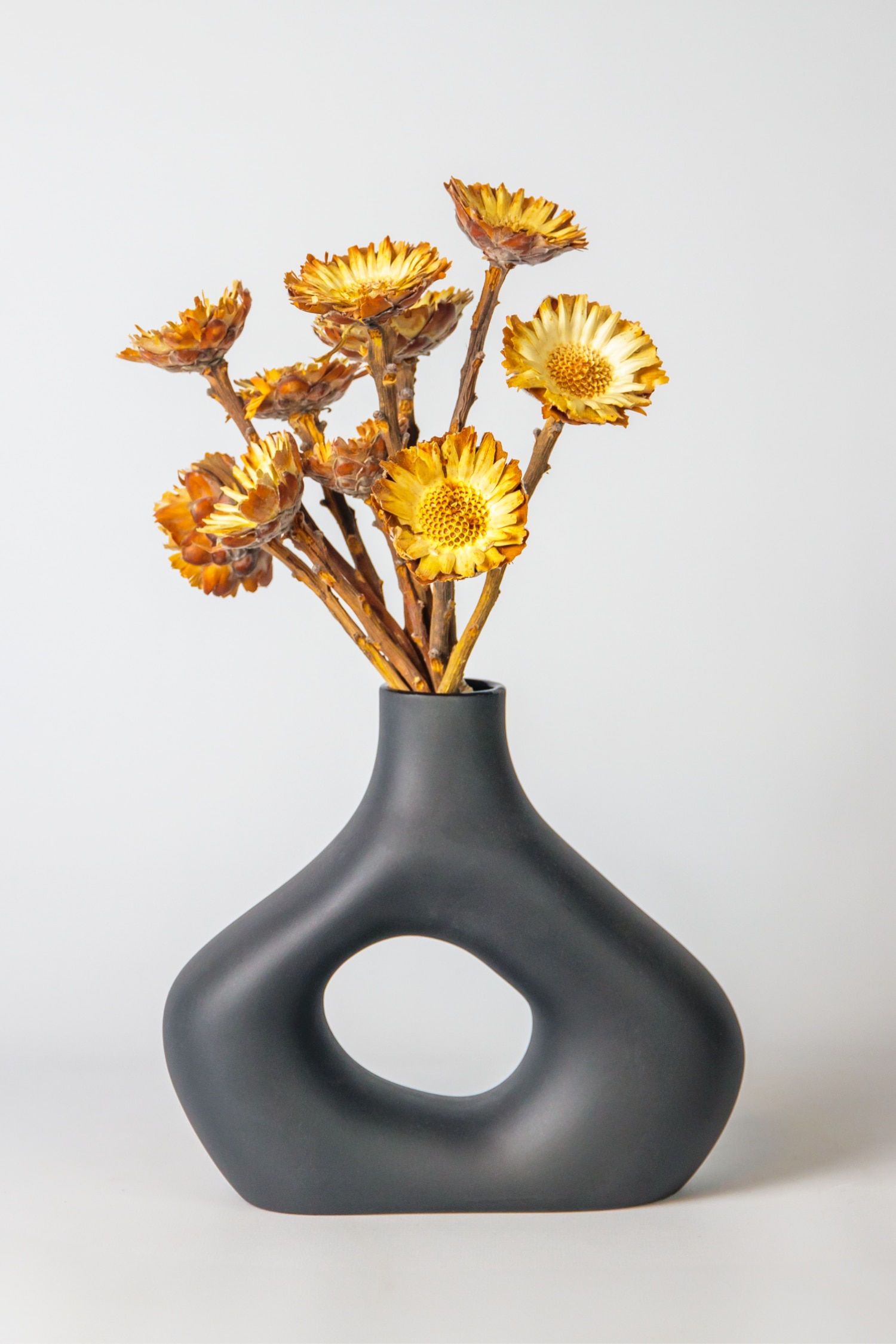 Plant in a Box - Protea Compacta - H 30cm