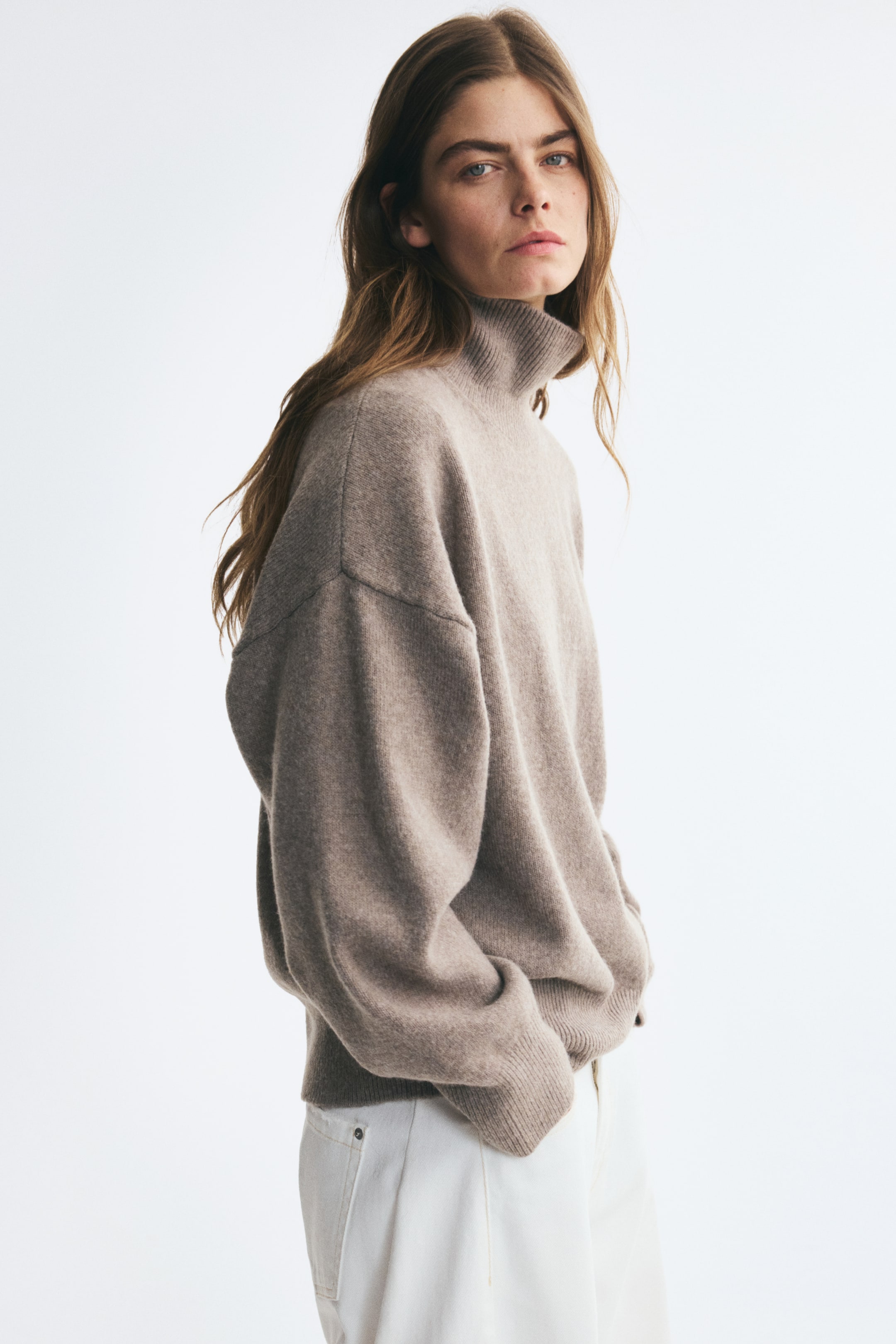 Visualizza l'immagine ingrandita: Pullover a dolcevita oversize - Talpa - DONNA | H&M CH 1