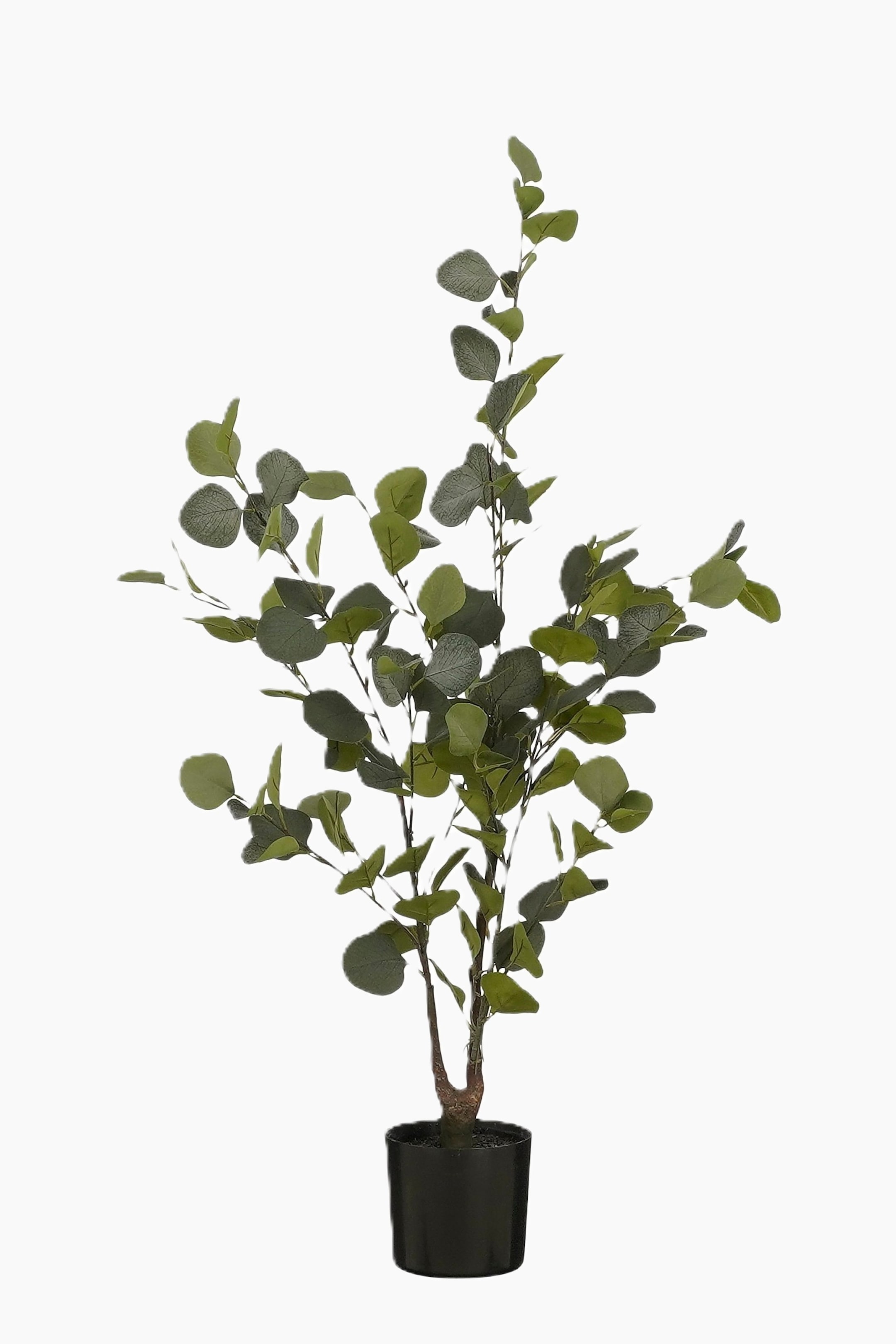 Agrandir l'image: Une plante artificielle avec plusieurs tiges et de nombreuses feuilles rondes vertes se tient droite dans un pot cylindrique noir.