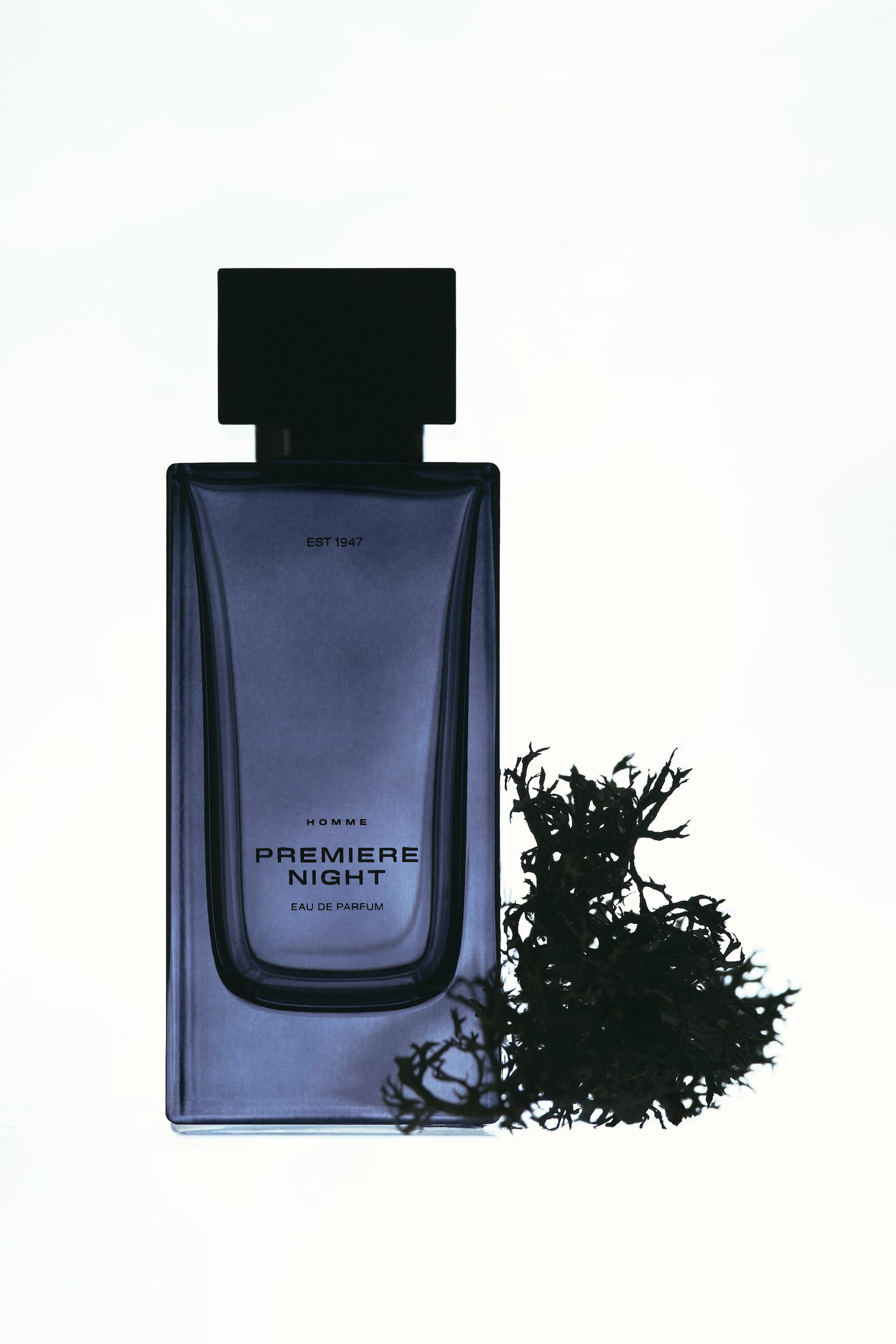 A front-facing view shows the rectangular, dark blue glass bottle of Premiere Night Eau de Parfum, featuring a solid black rectangular cap and minimalist text on the front. A clump of dark, textured moss rests beside the bottom right corner of the bottle.