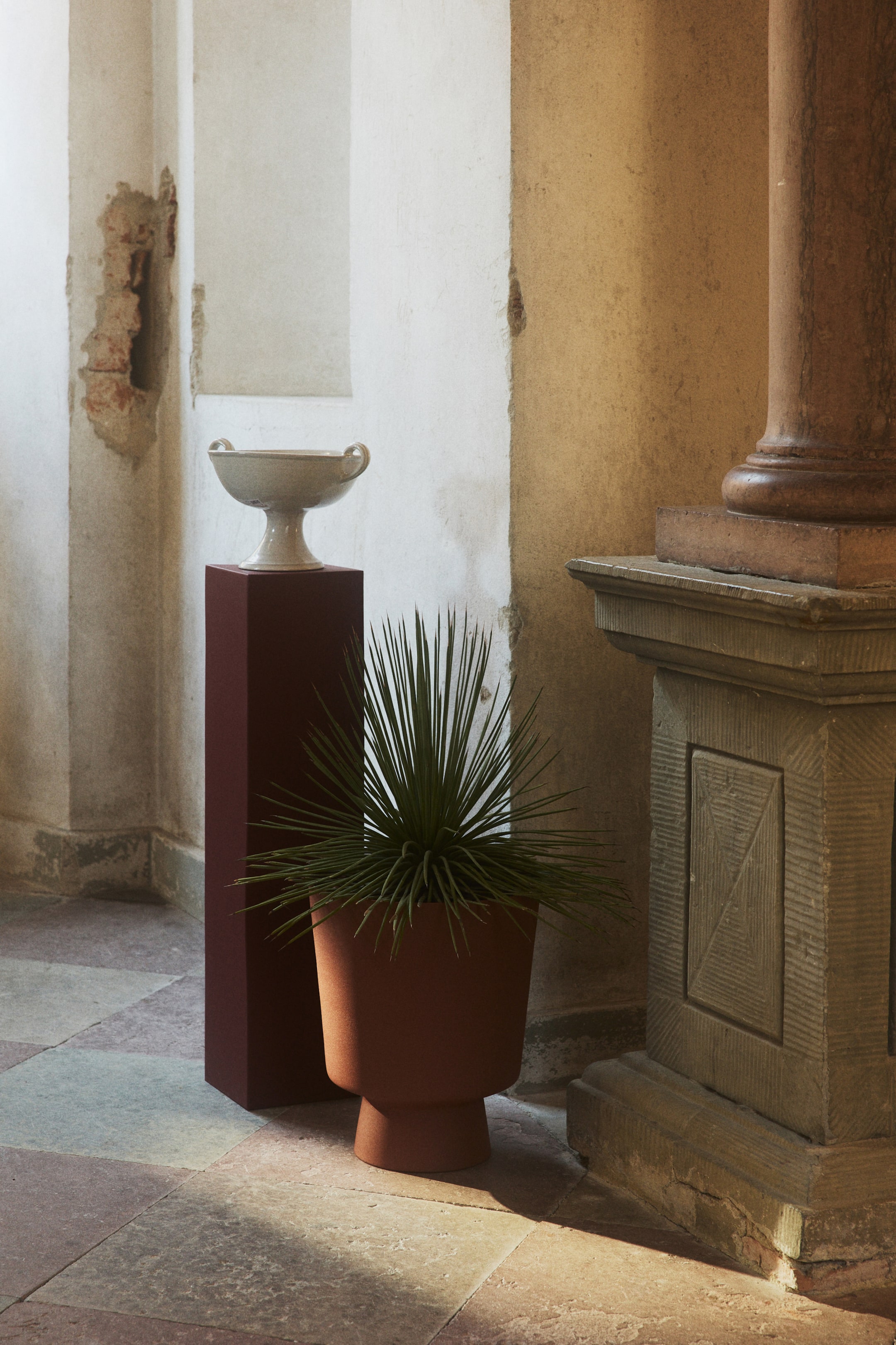 Ver imagen más grande: Una maceta de color terracota presenta un cuerpo cilíndrico que se estrecha hacia una base con patas. Contiene una planta verde con hojas puntiagudas y está orientada en un ligero ángulo hacia el frente derecho.