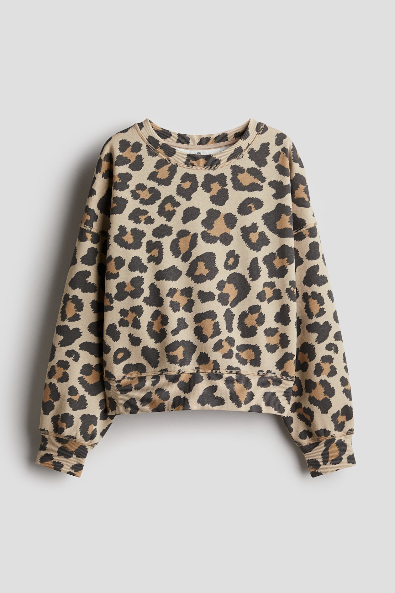 Design Detail Sweater Beige/Leopard print Kids H&M AU