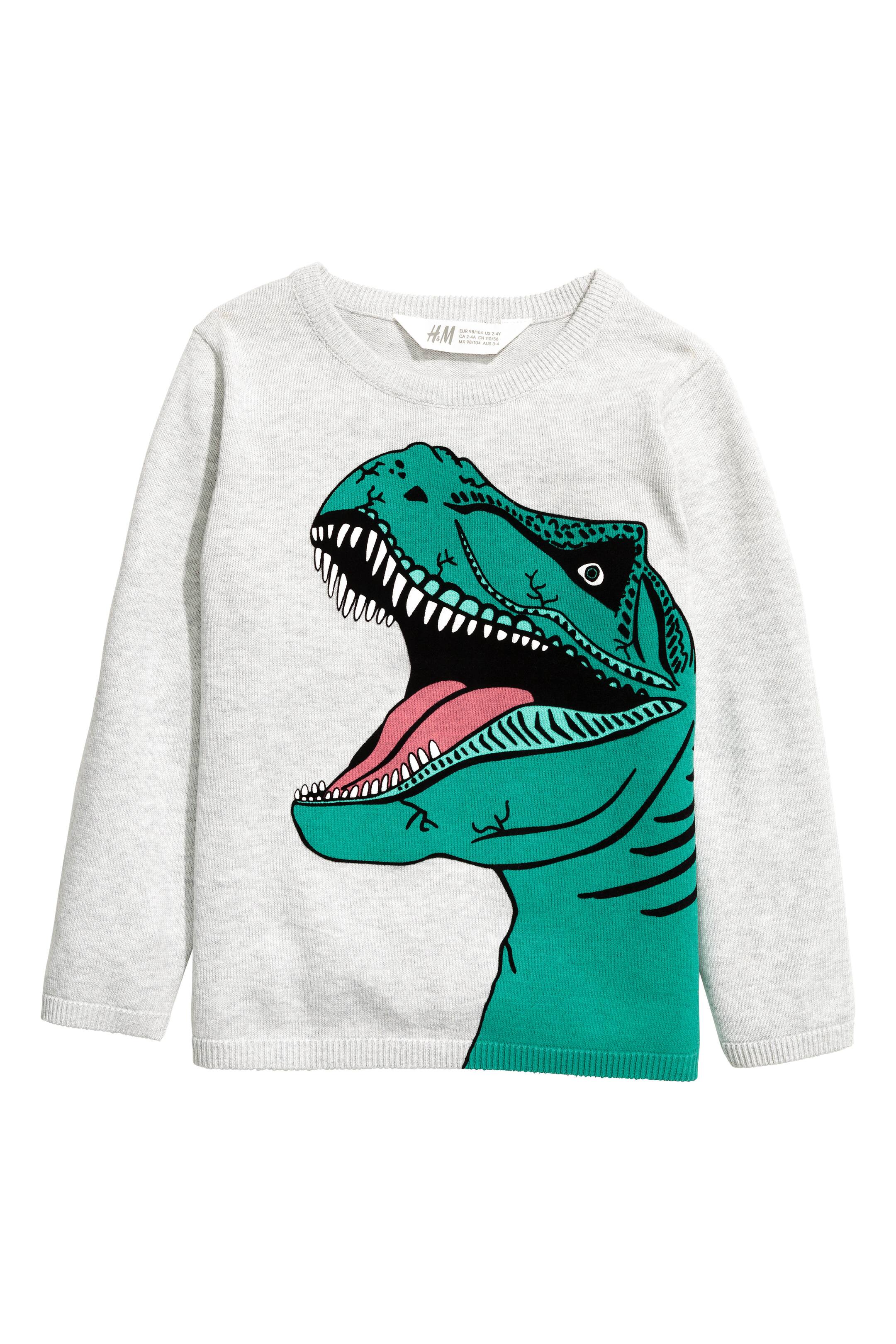 View larger image: Fine-knit printed jumper - Light grey/Dinosaur - Kids | H&M GB 1