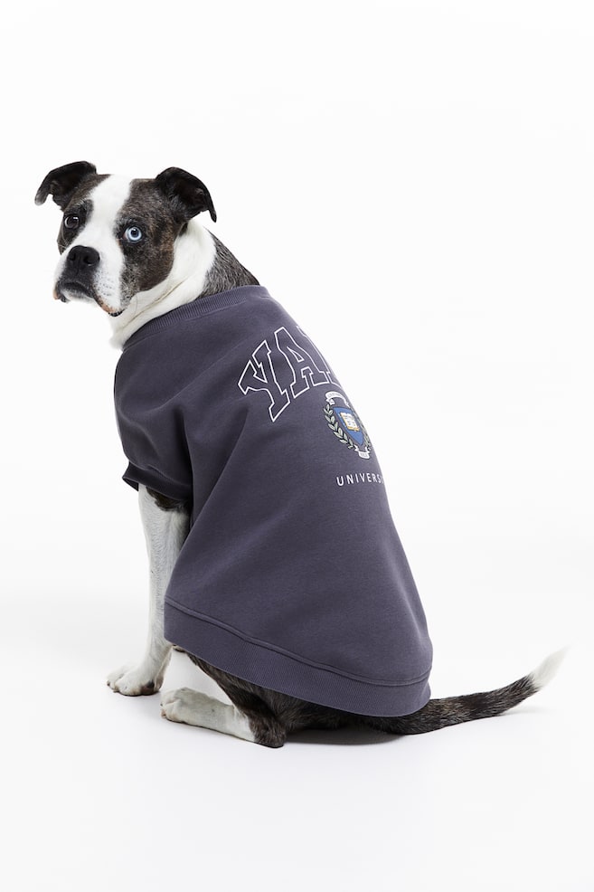 Embroidery-detail dog top - Dark grey/Yale/Grey marl/Harvard/Grey marl/Mickey Mouse/Dark blue/Mickey Mouse - 1