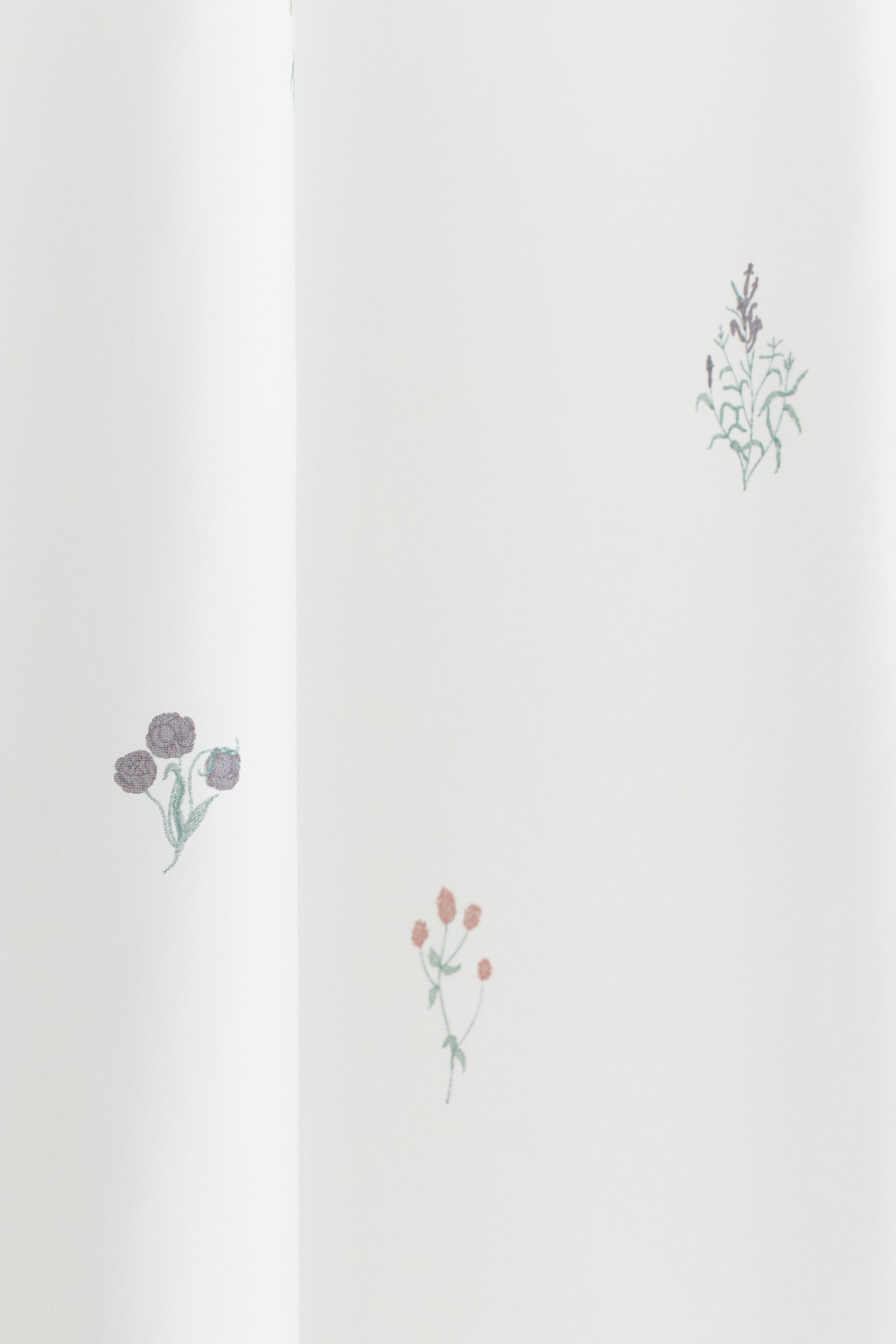 Floral shower curtain - White/Floral - 3