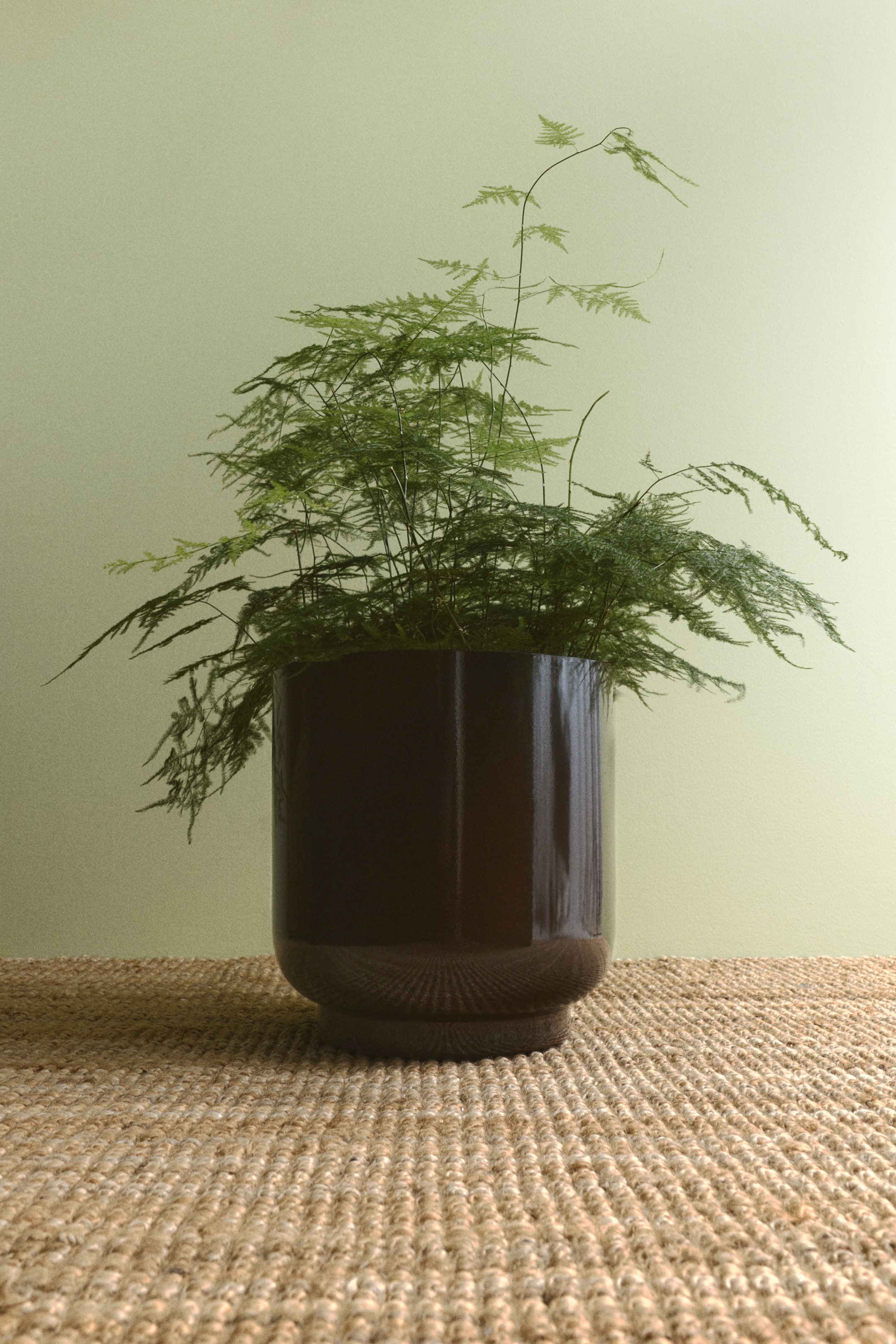 View larger image: A jumbo metal plant pot is presented frontally, showcasing a glossy, reactive finish with distinctive dark brown and bronze colour variations. The cylindrical pot, featuring a slightly narrower, raised base, is holding a green fern.