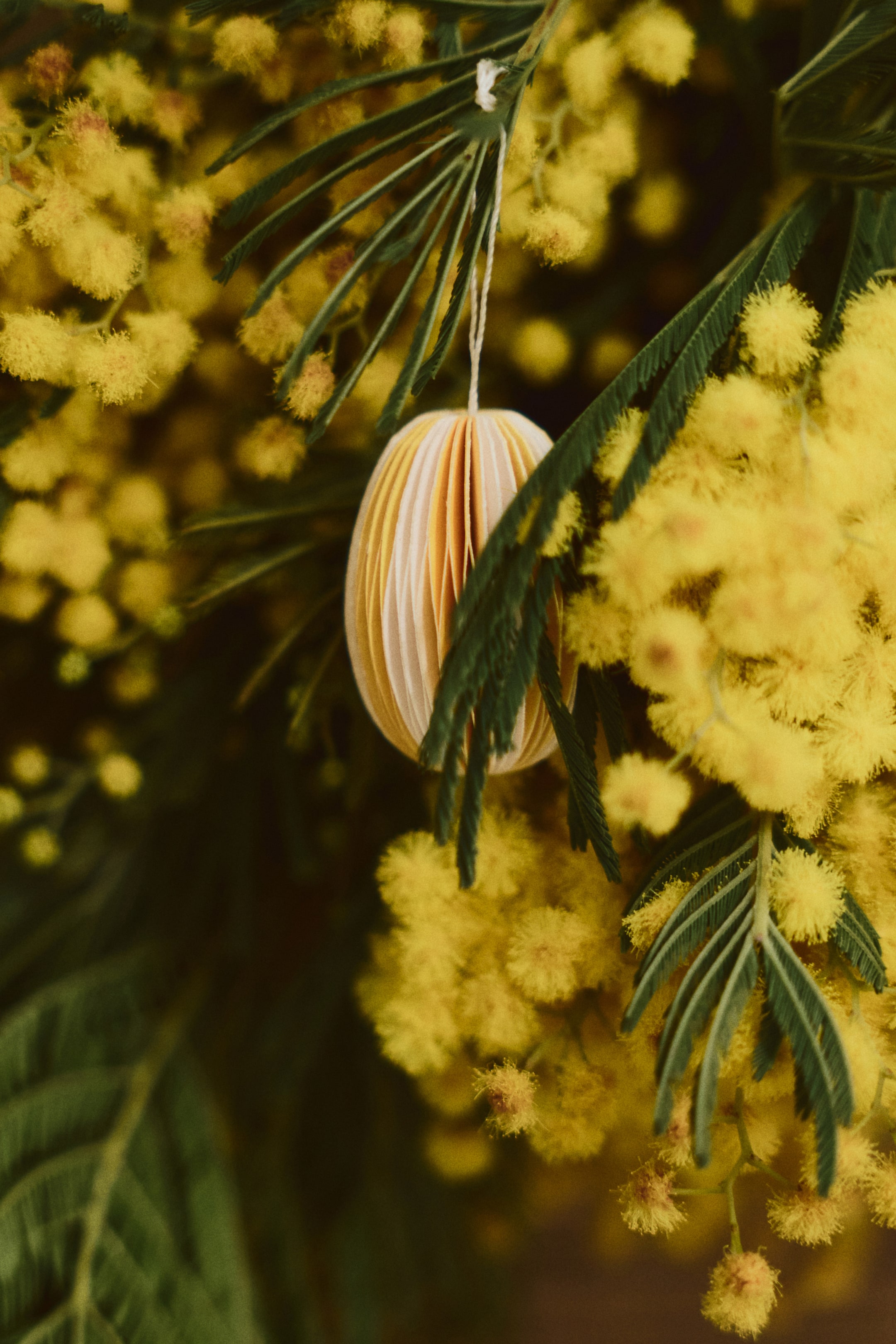 Grotere afbeelding bekijken: Een ei-vormige decoratie, gemaakt van honingraatpapier, hangt met afwisselend lichtgele en crèmekleurige secties. Een bijpassende kleur katoenen draad is aan de bovenkant bevestigd voor ophangen.