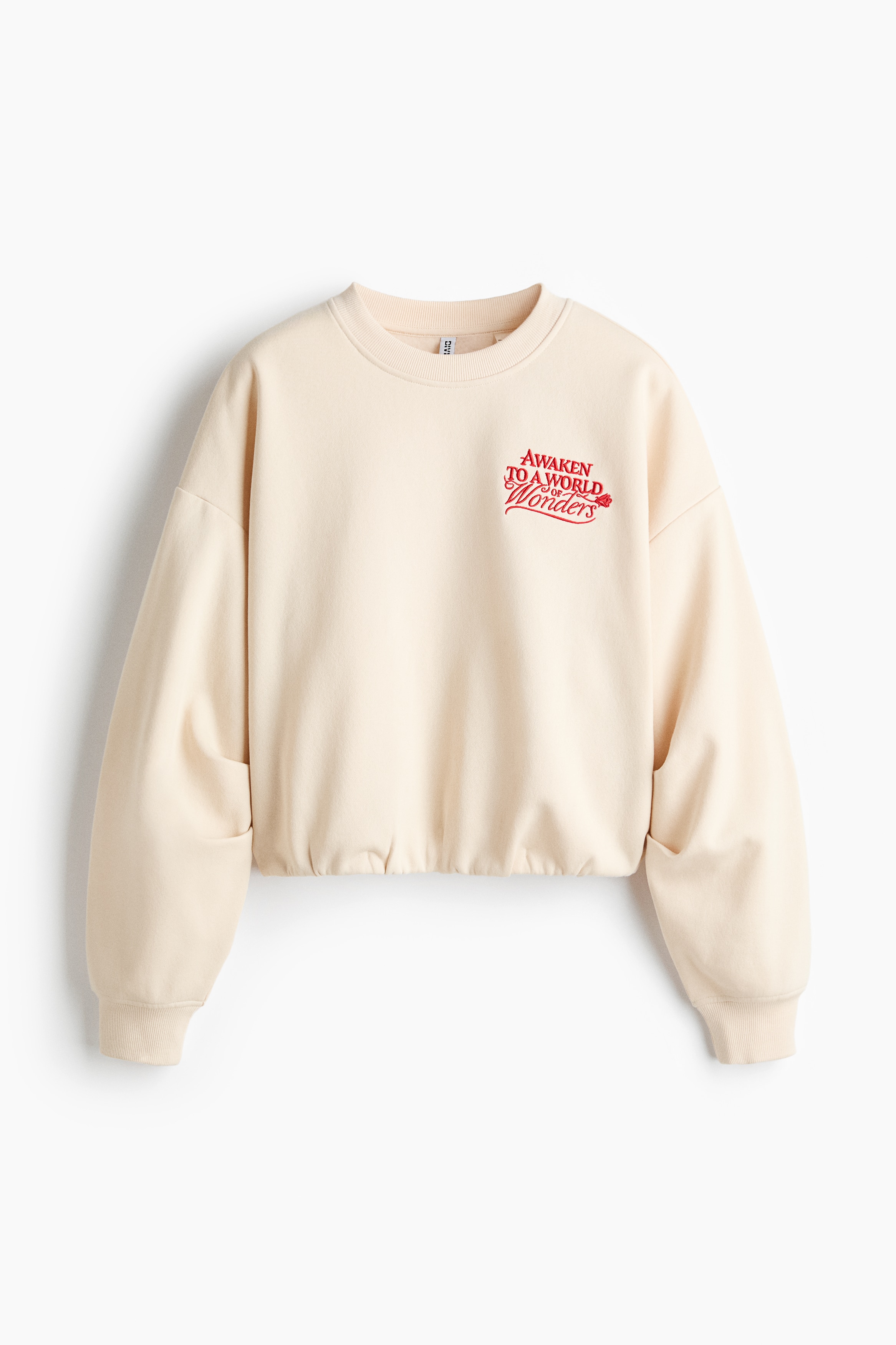 엠브로이더리 스웨트셔츠 - 라이트 베이지/잠자는 숲속의 공주/블루/잠자는 숲속의 공주