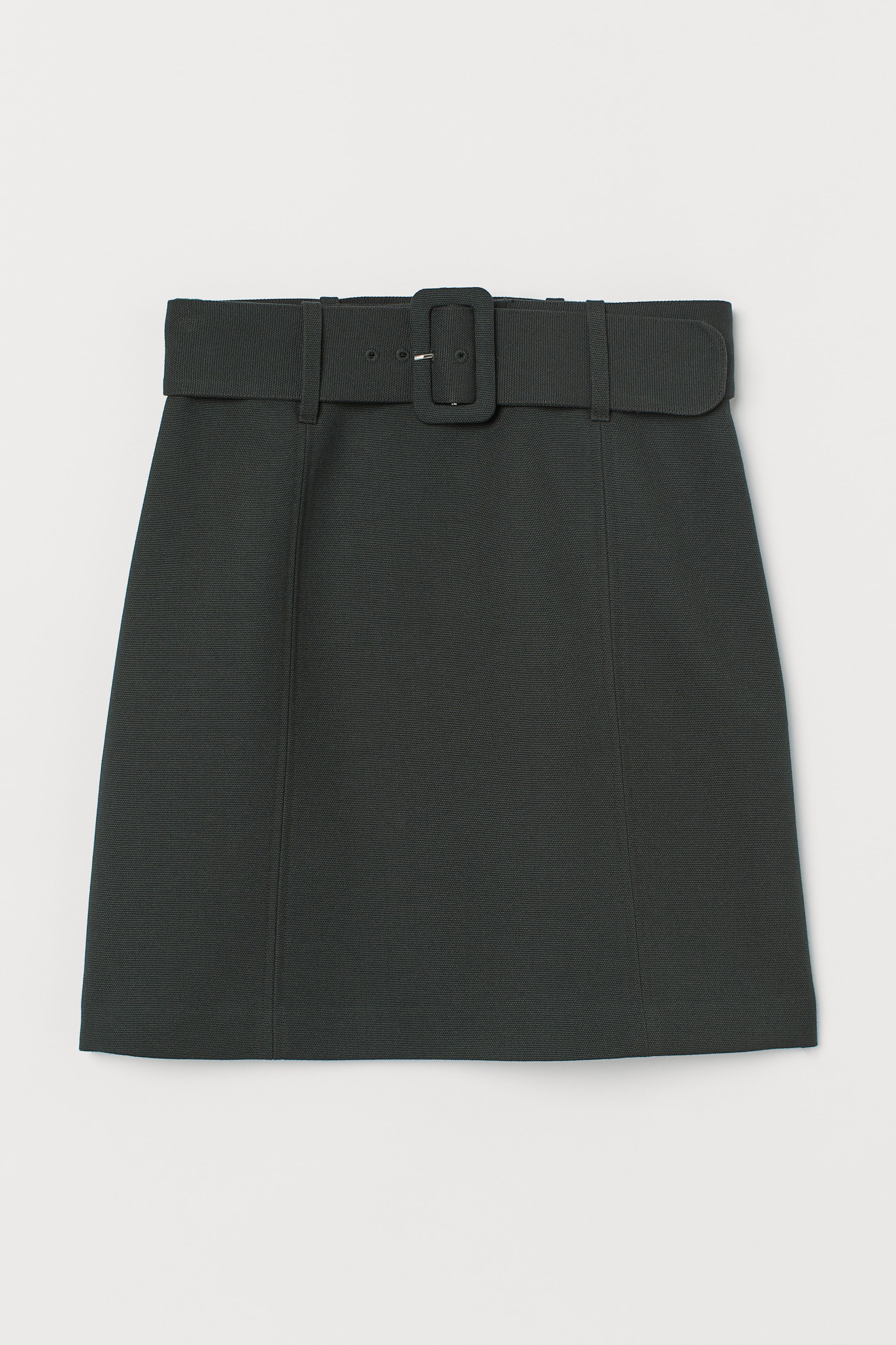 Skirt with Belt