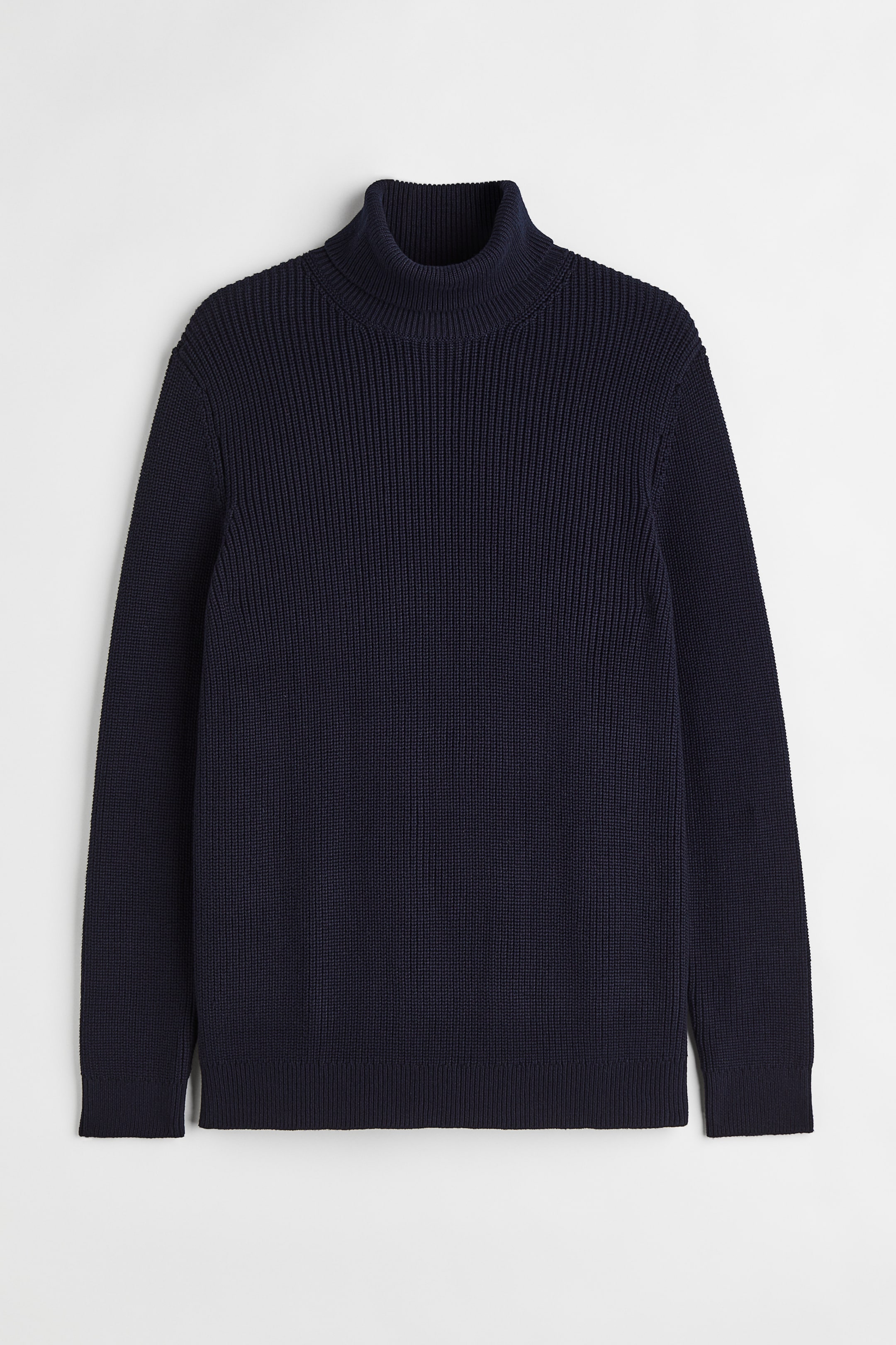 Regular Fit Turtleneck Sweater