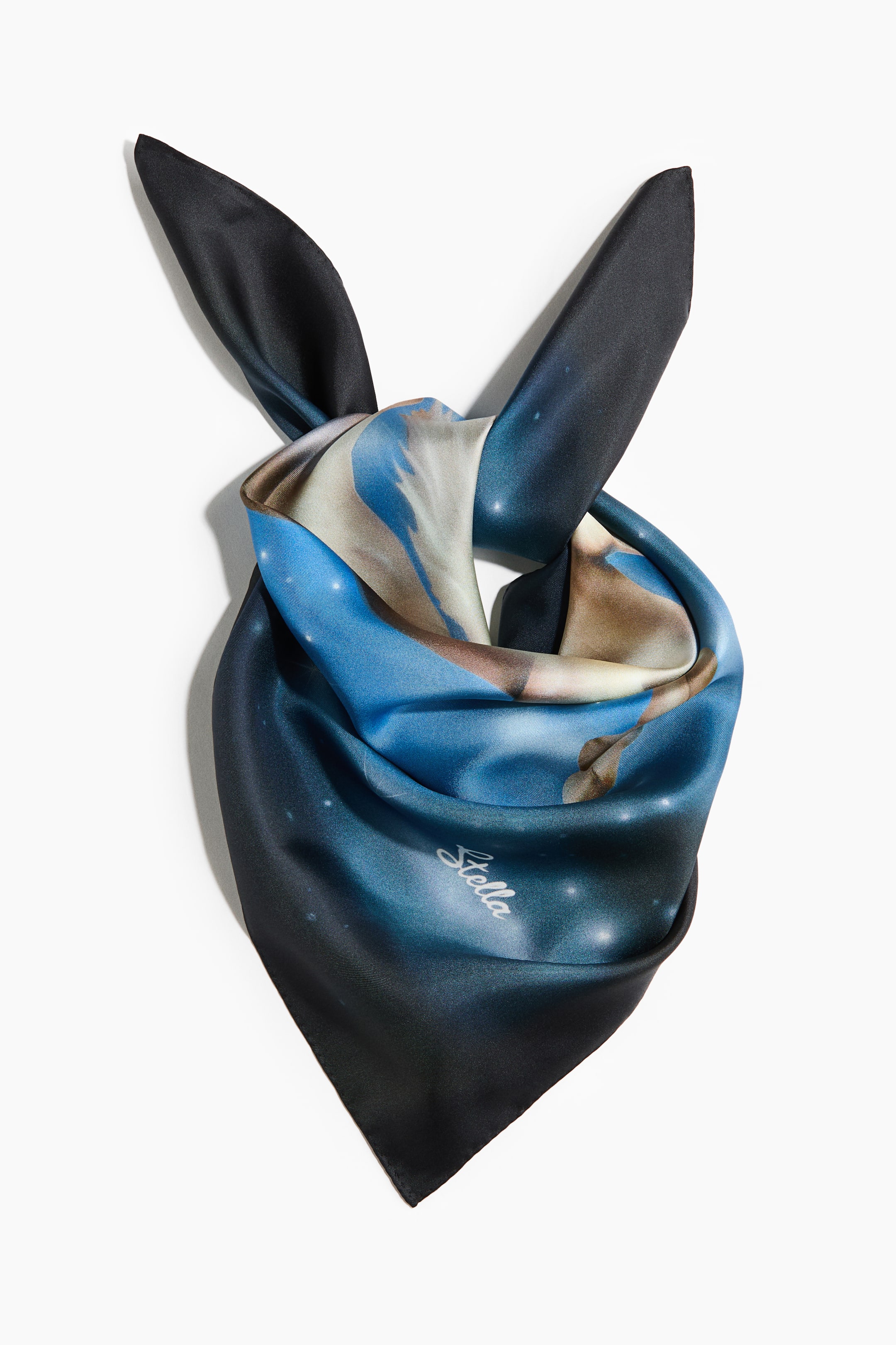 Printed Silk Scarf