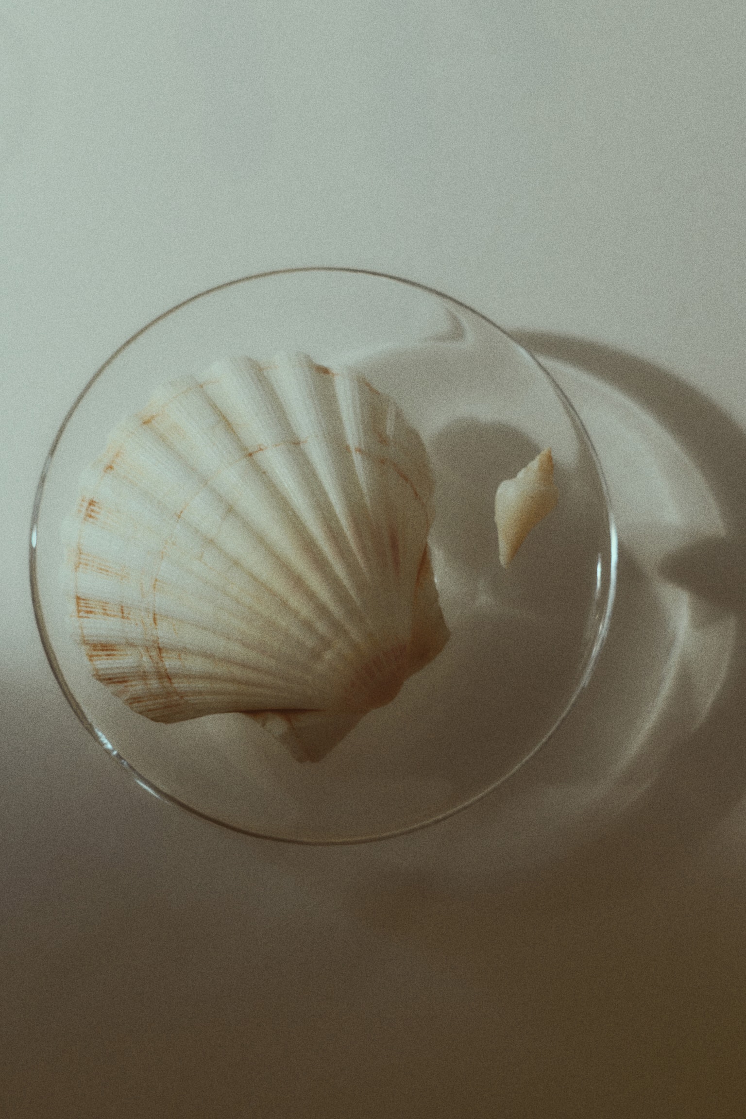 Malá skleněná miska - Transparent/Růžová - 2