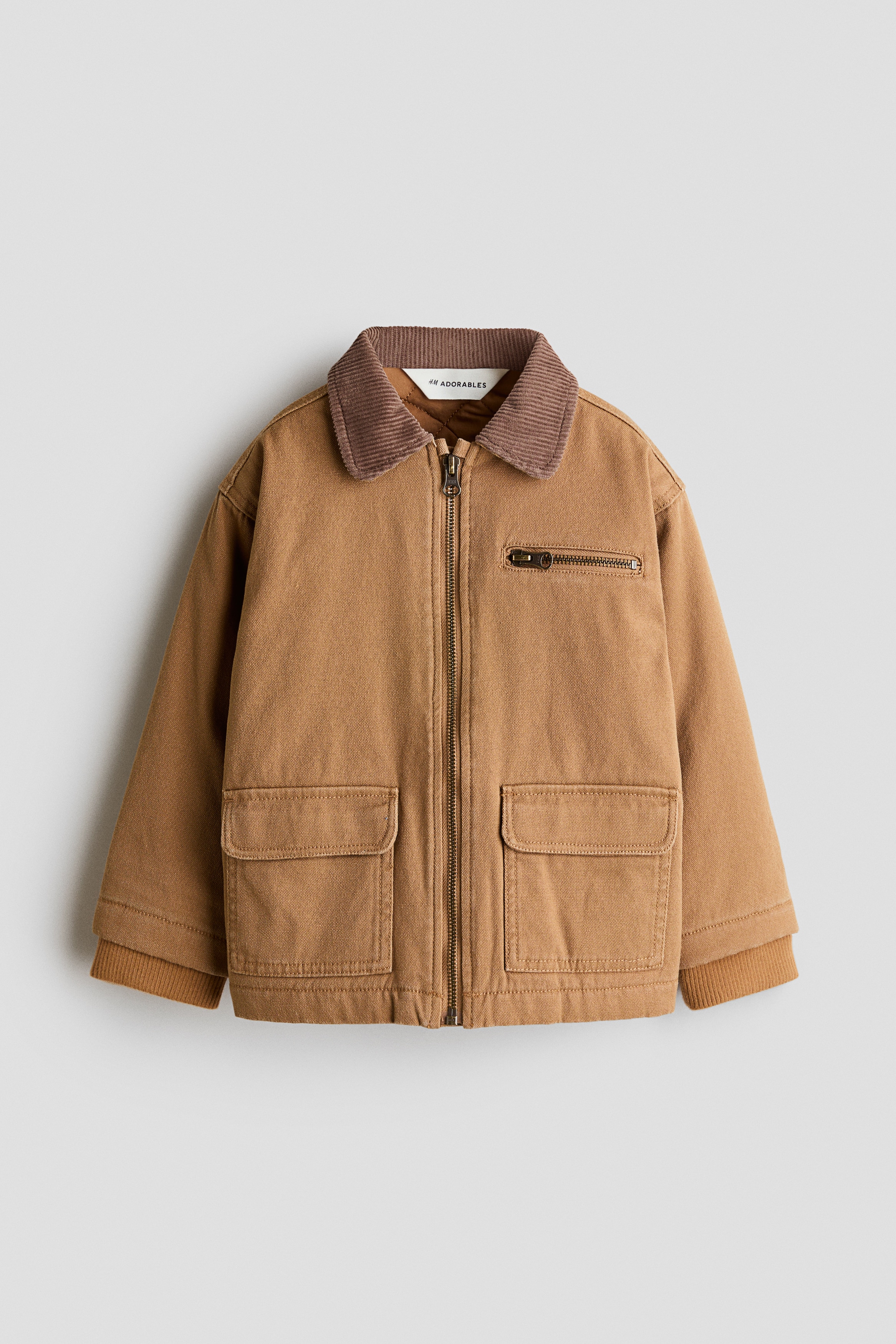 Corduroy-collar canvas jacket - Dark beige