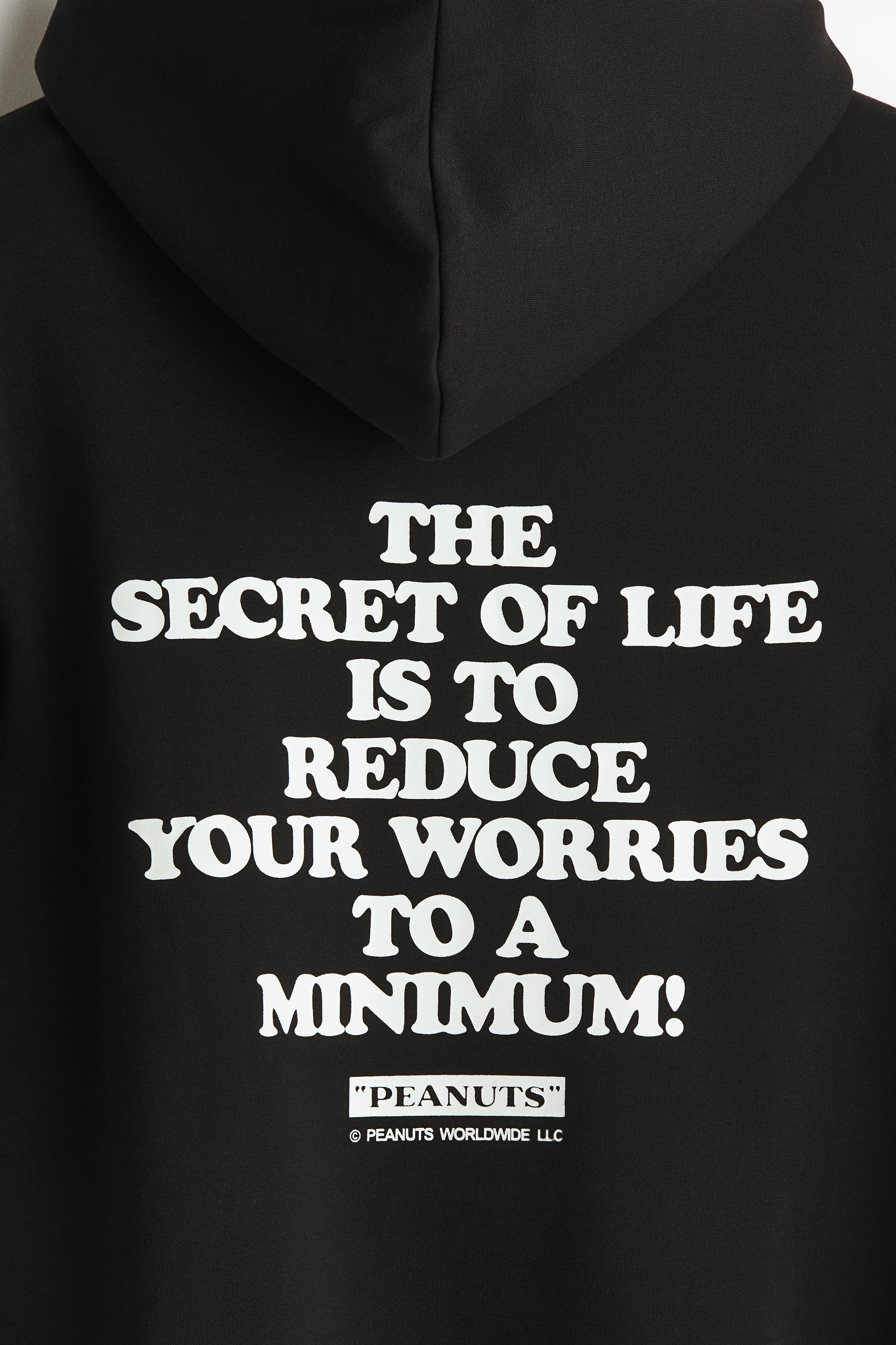 Regular Fit Hoodie