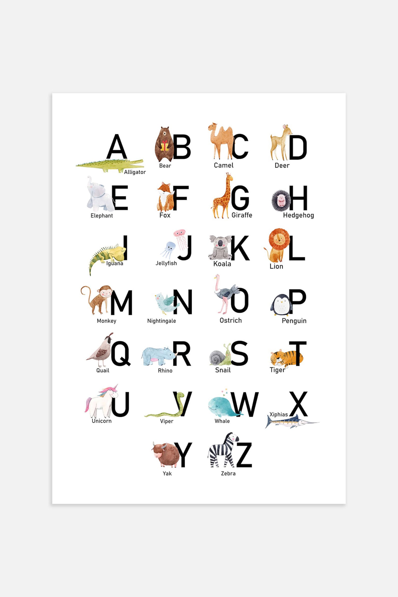 Animal Abc Poster - White/black - 1