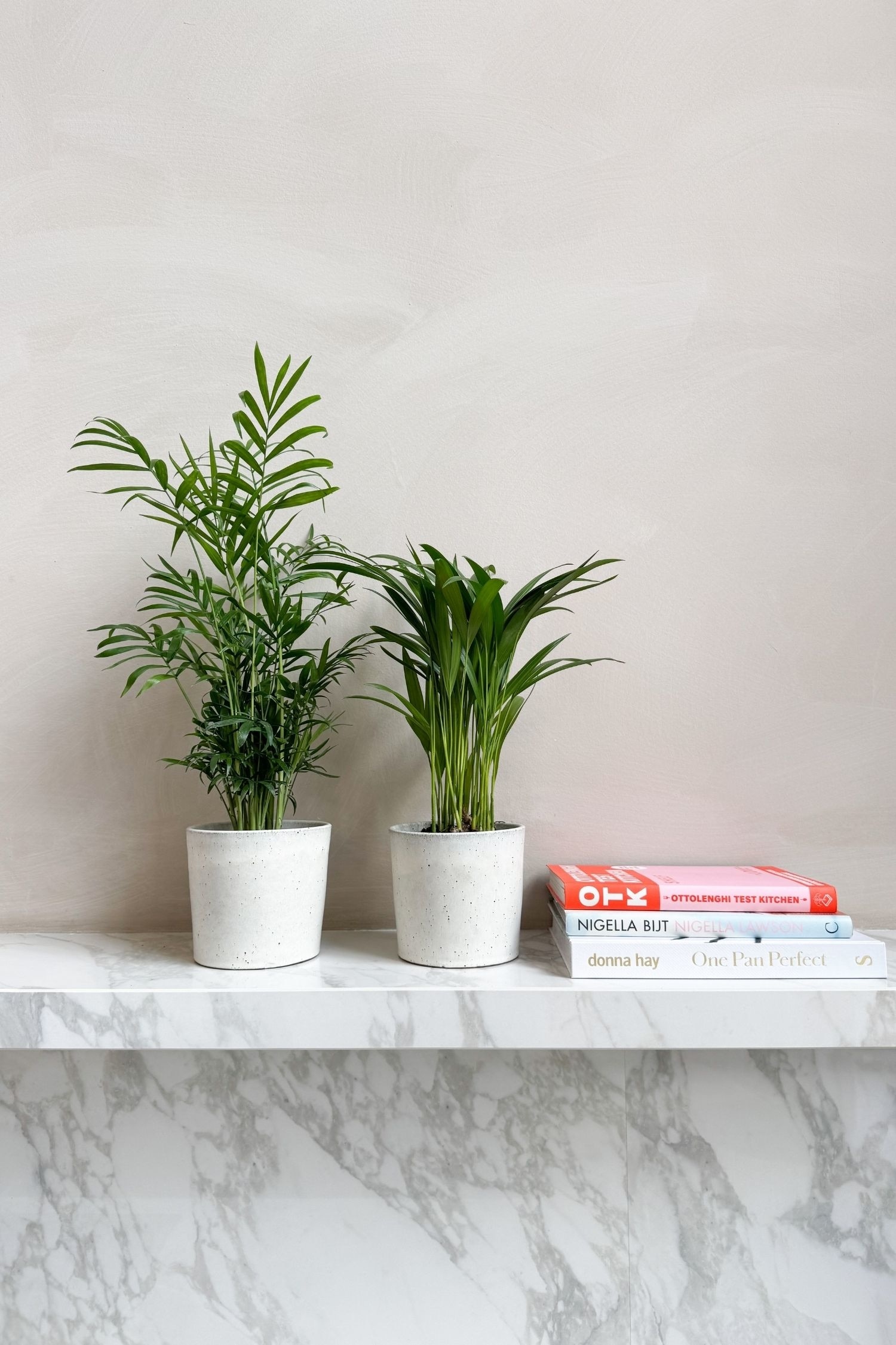 Mini Palmmix D'intérieur - Set De 2 - H 25cm